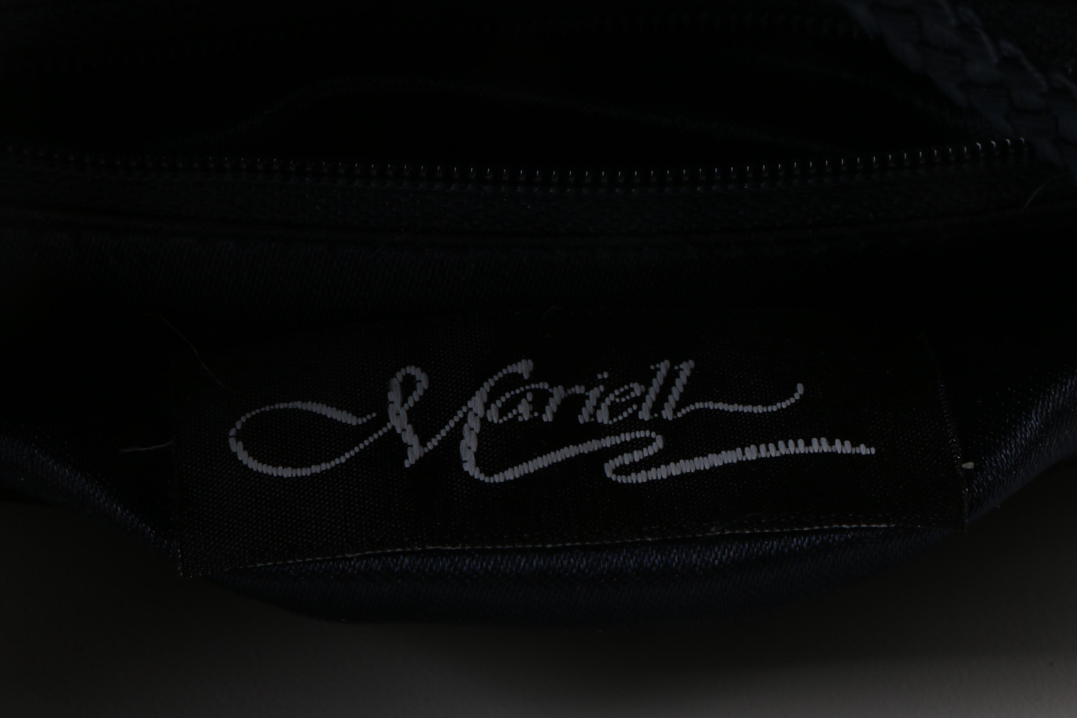 Embellished and Occasion Clutches