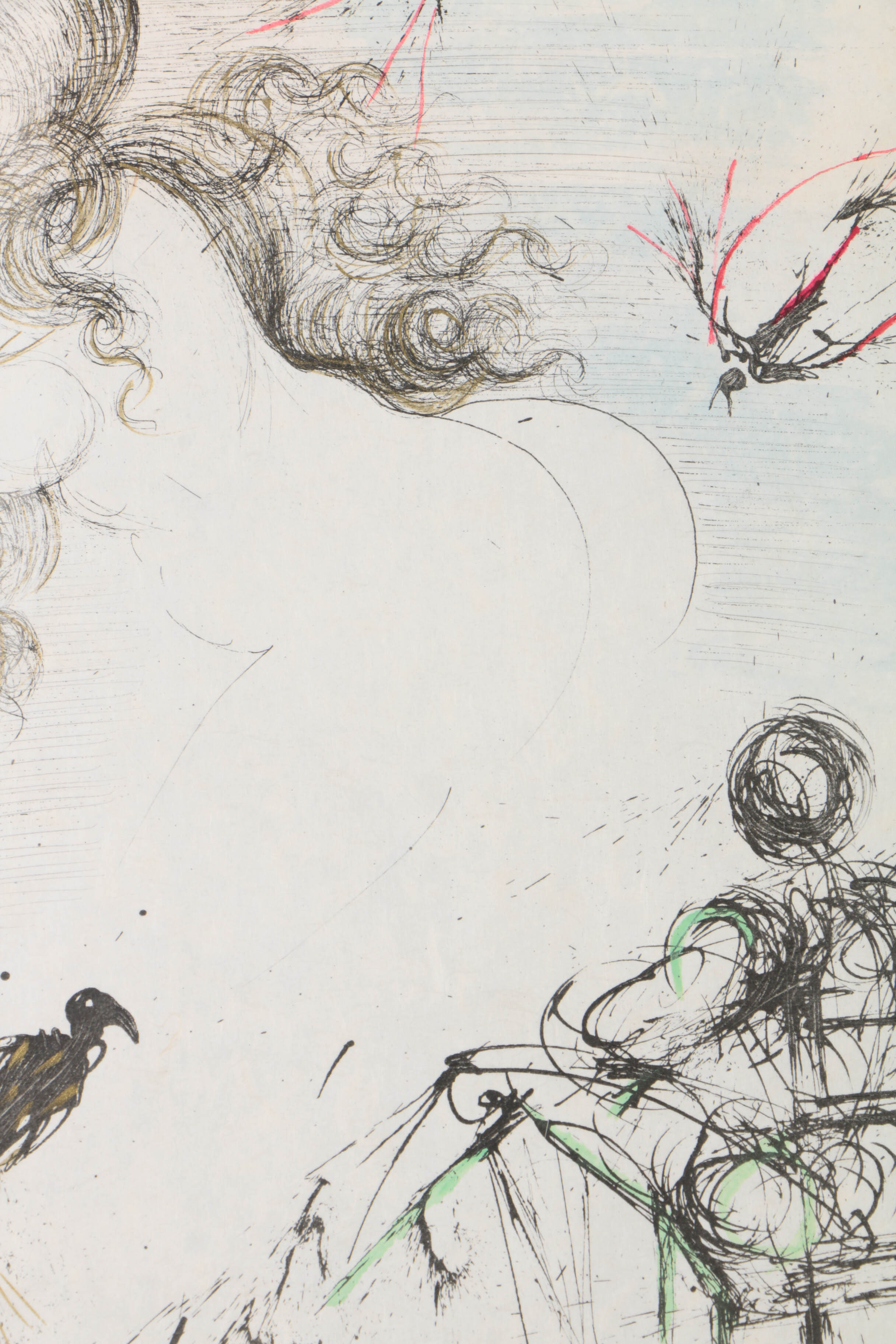 Salvador Dalí Limited Edition Etching on Paper "Nu au peroquet"