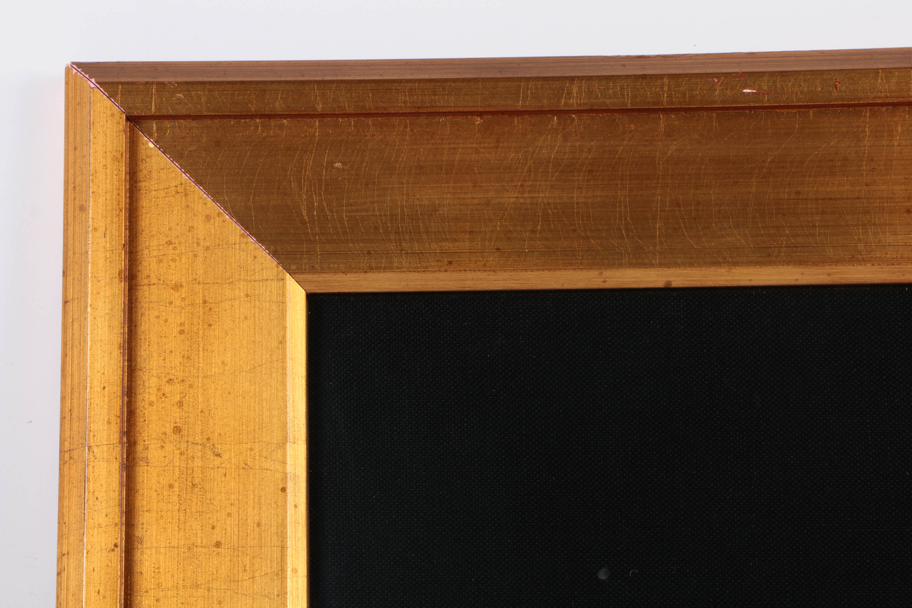 Salvador Dalí Limited Edition Etching on Paper "Nu au peroquet"