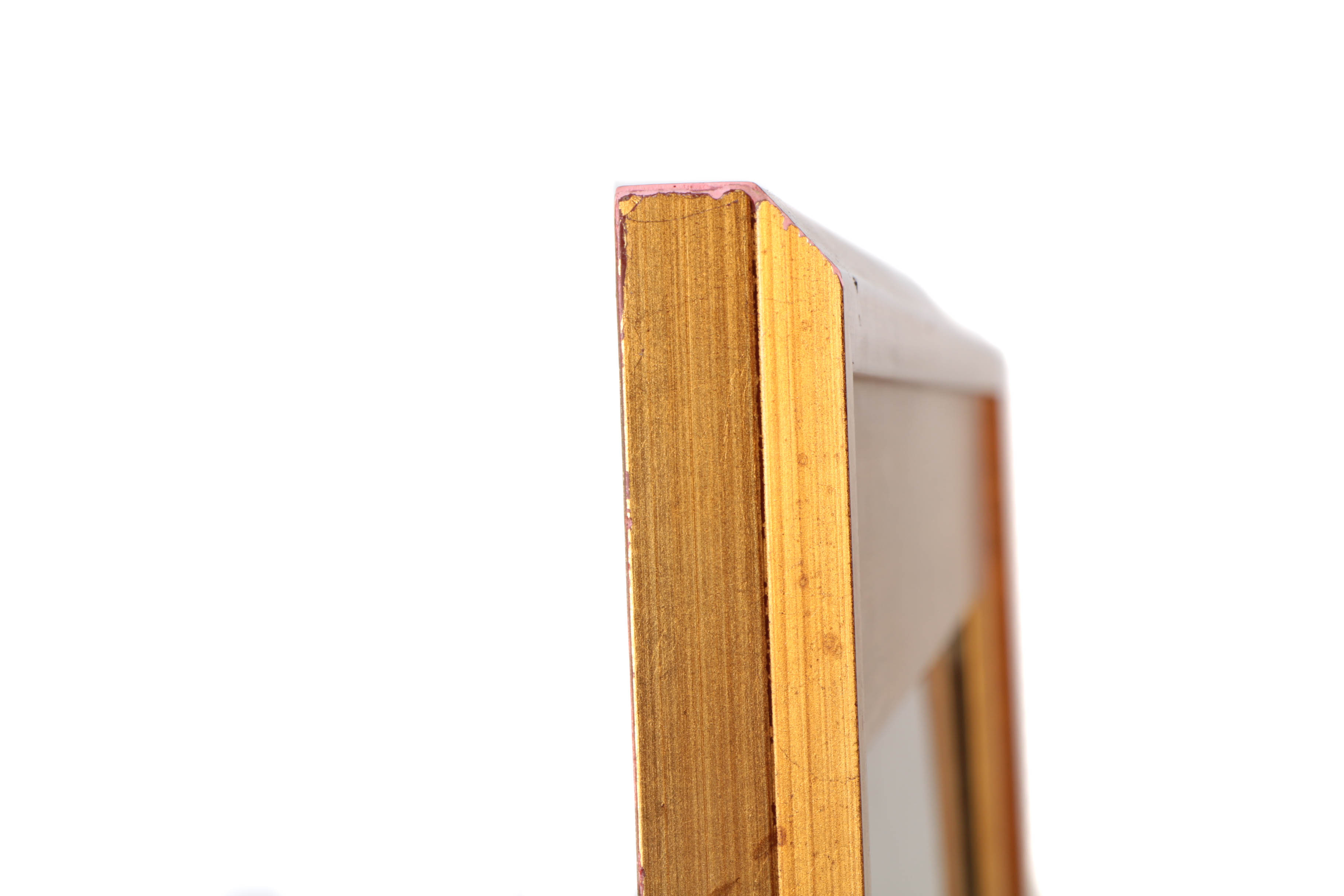 Salvador Dalí Limited Edition Etching on Paper "Nu au peroquet"