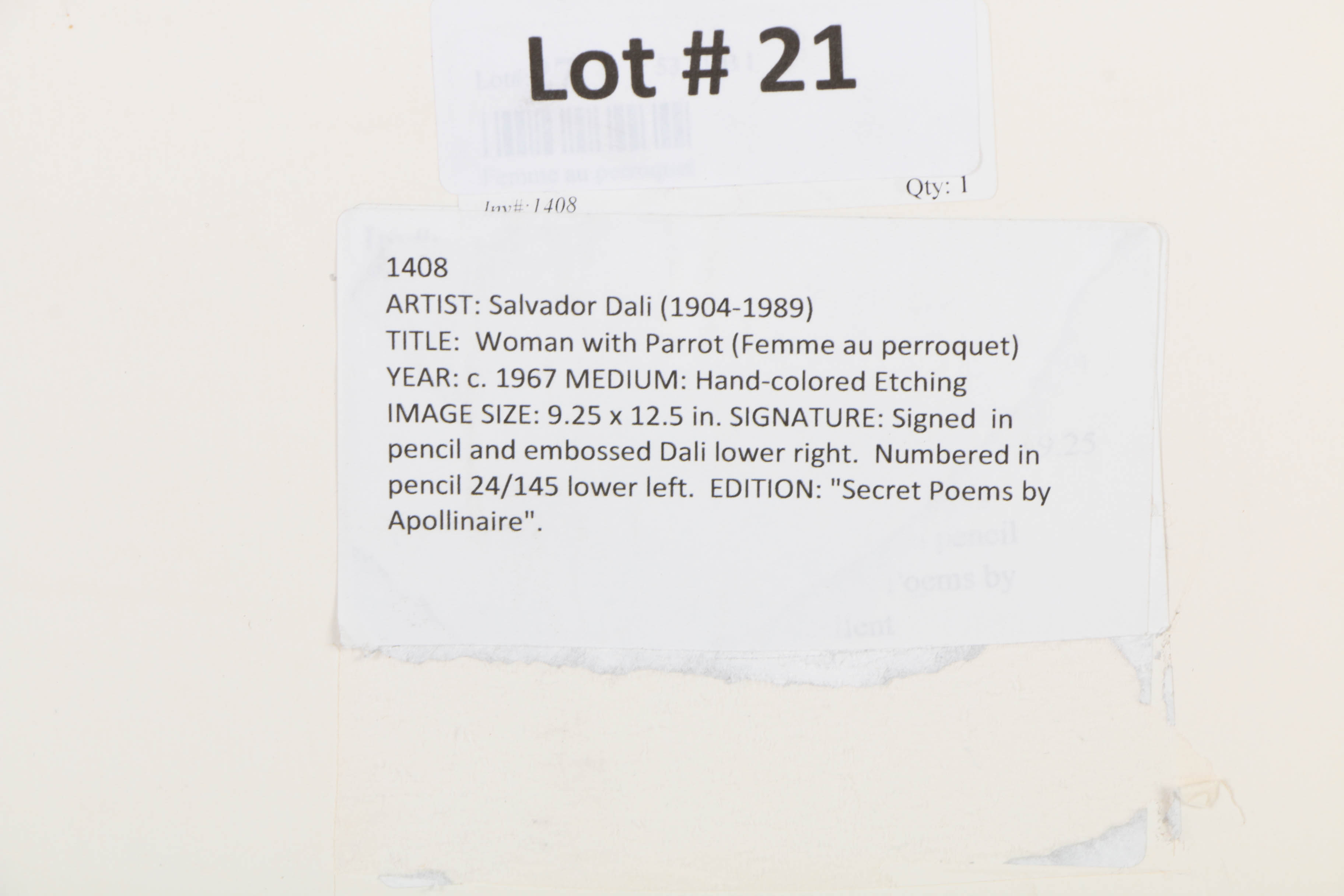 Salvador Dalí Limited Edition Etching on Paper "Nu au peroquet"