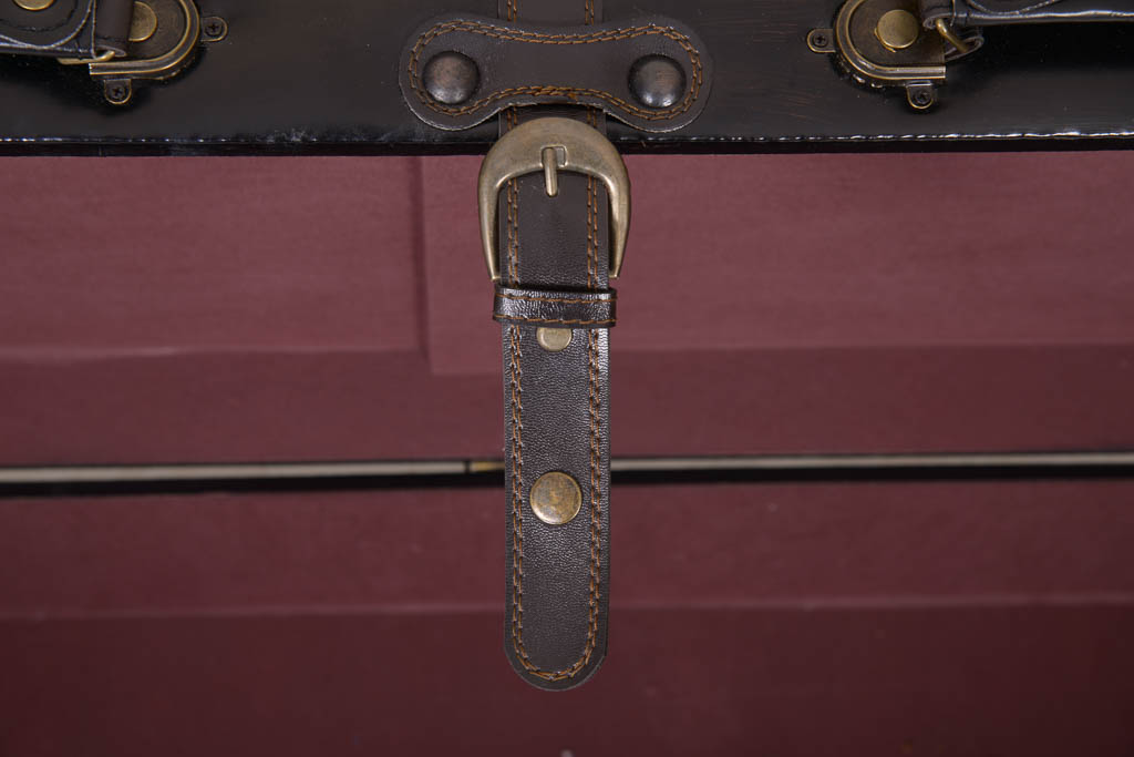 Black Leather Storage Trunk