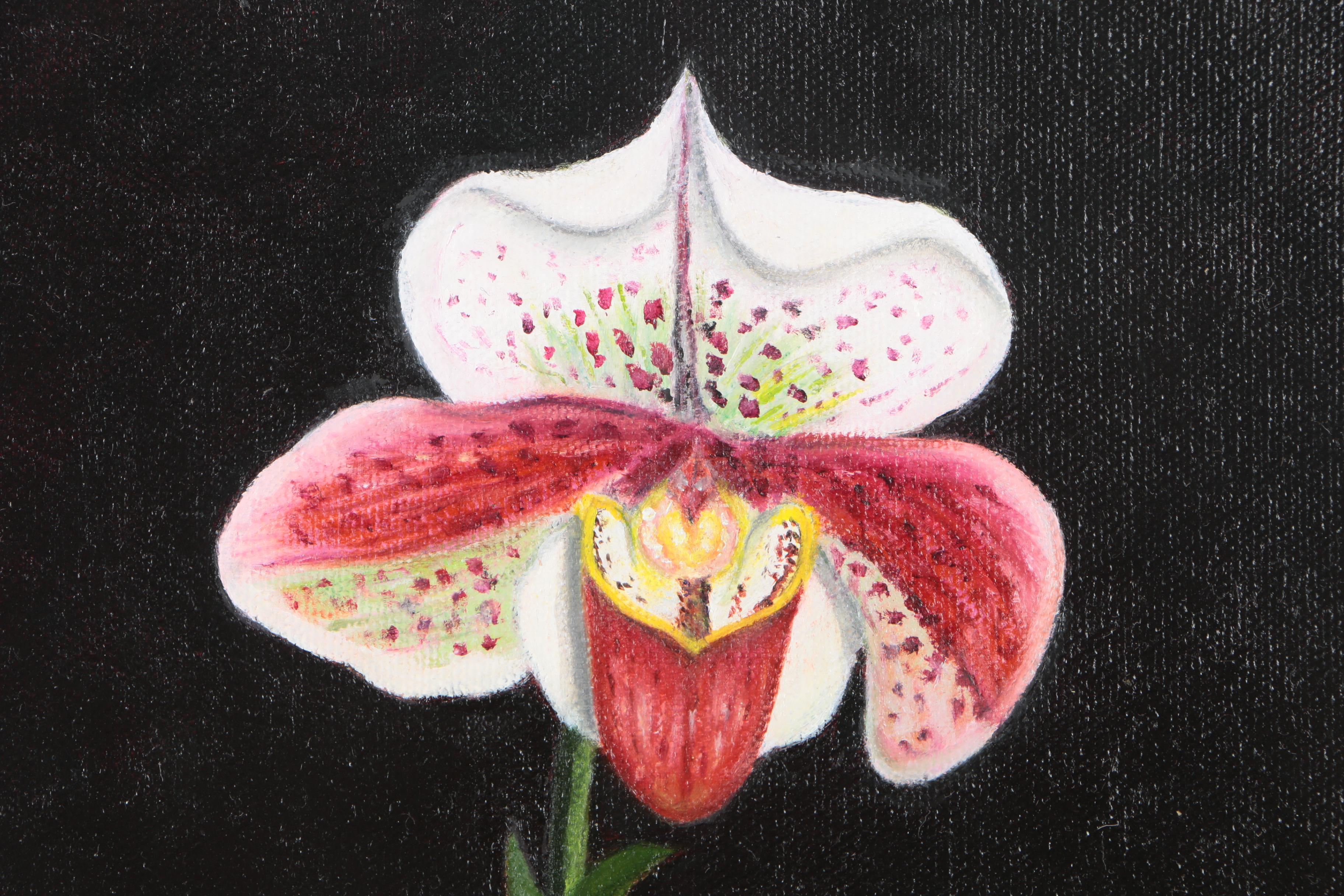 Shiu Huey Lu Oil Paintings of Orchids and Calla Lilies