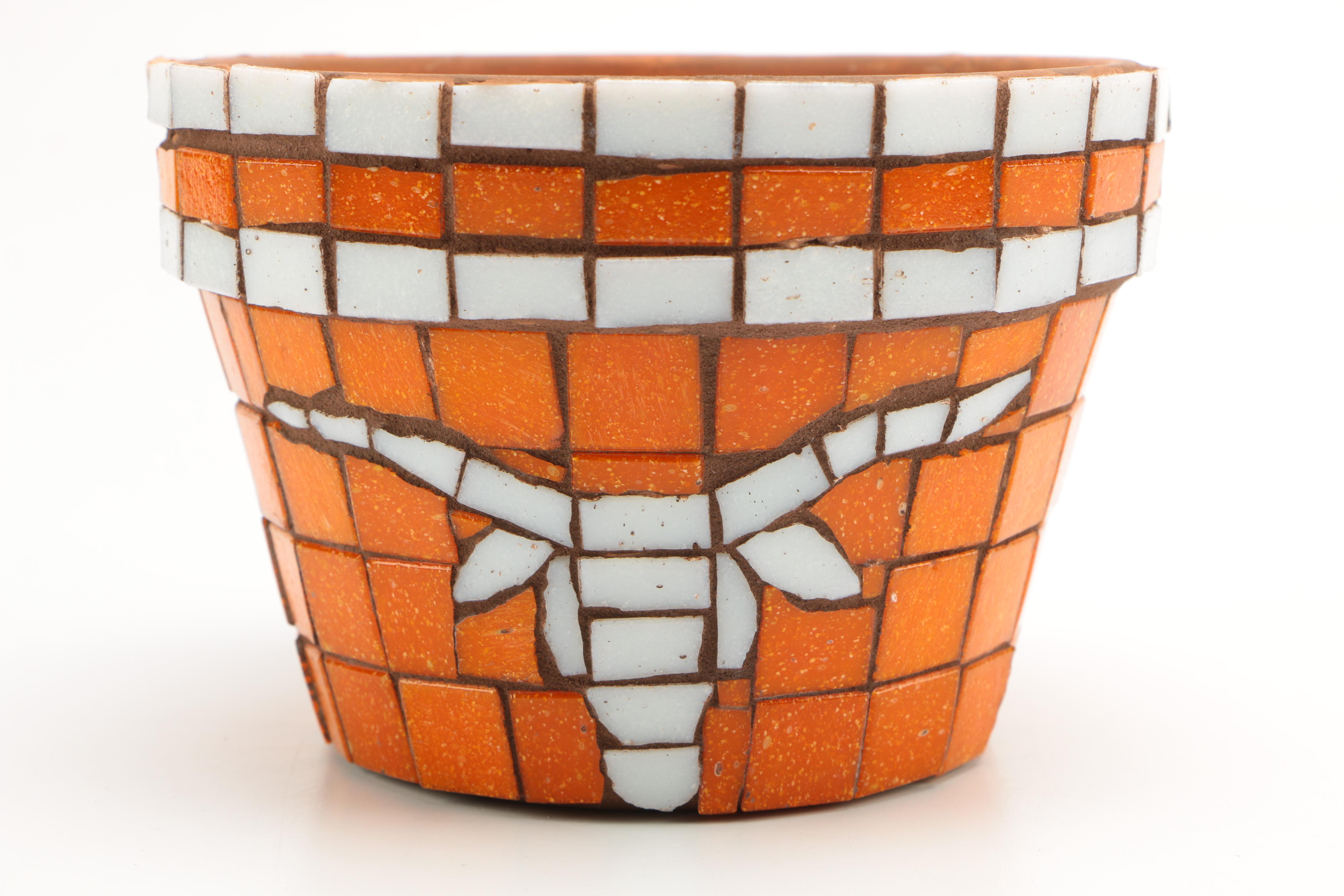 Assortment of Texas Longhorn Memorabilia