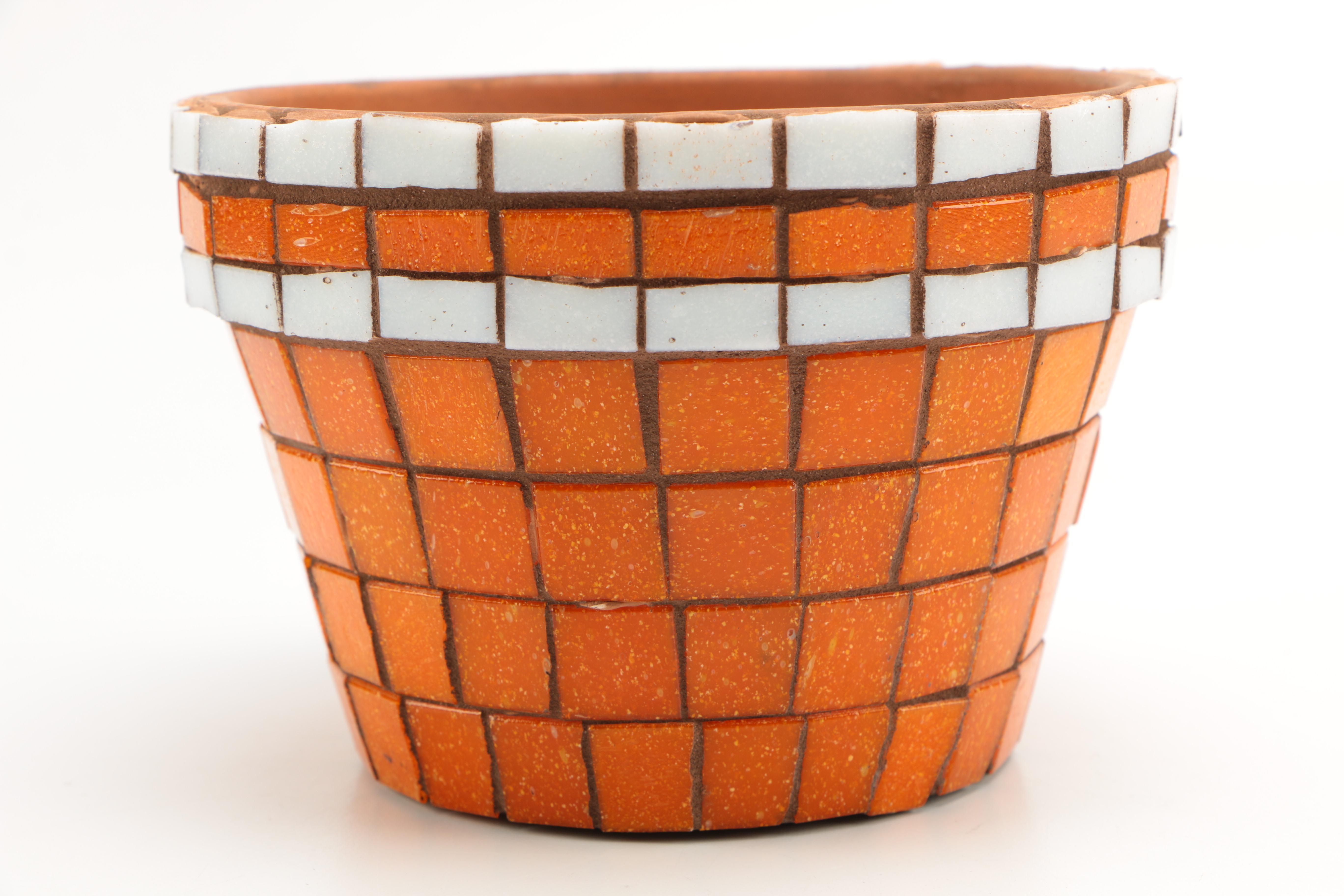 Assortment of Texas Longhorn Memorabilia