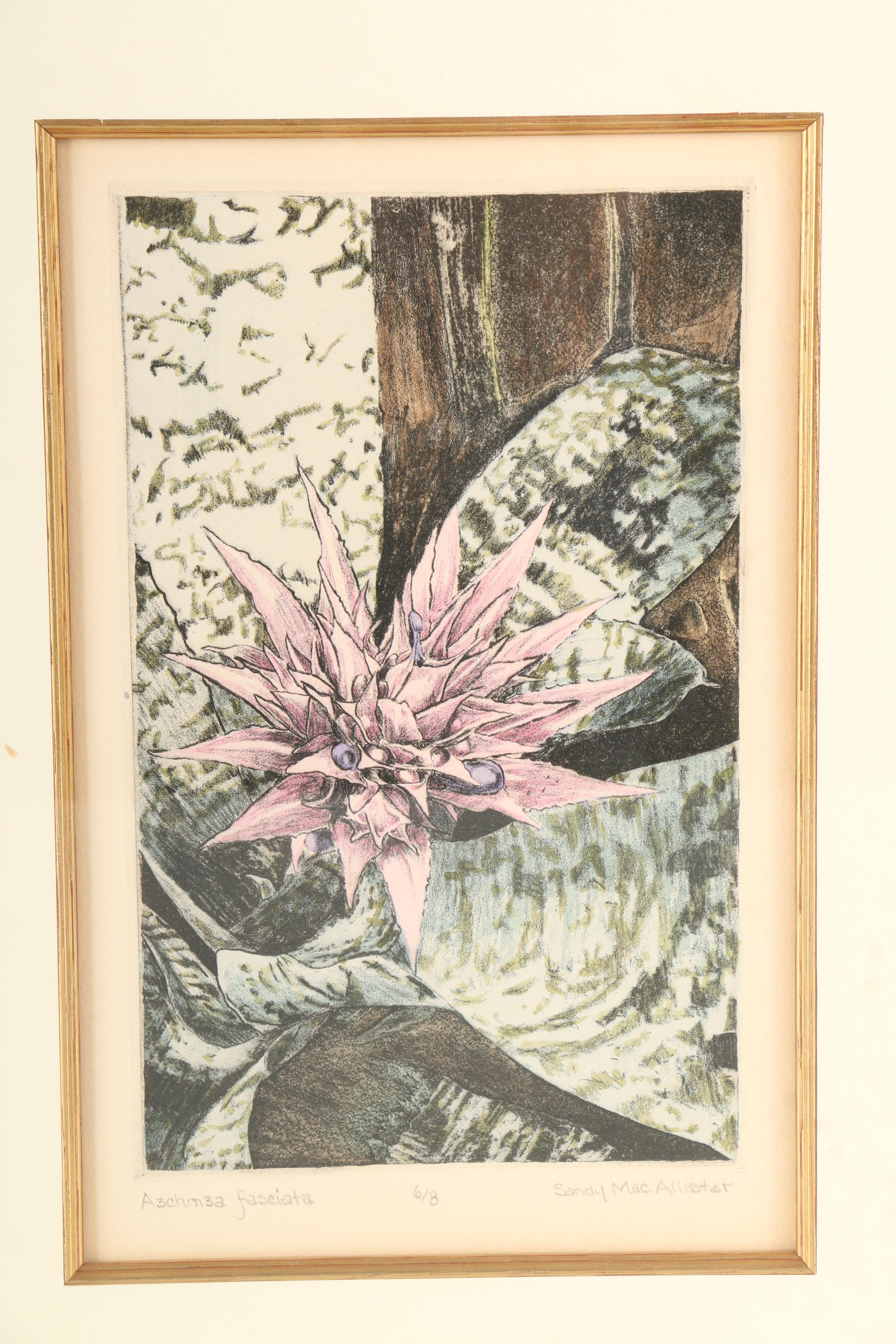 Sandy MacAllister Limited Edition Intaglio "Aechmea Fasciata"