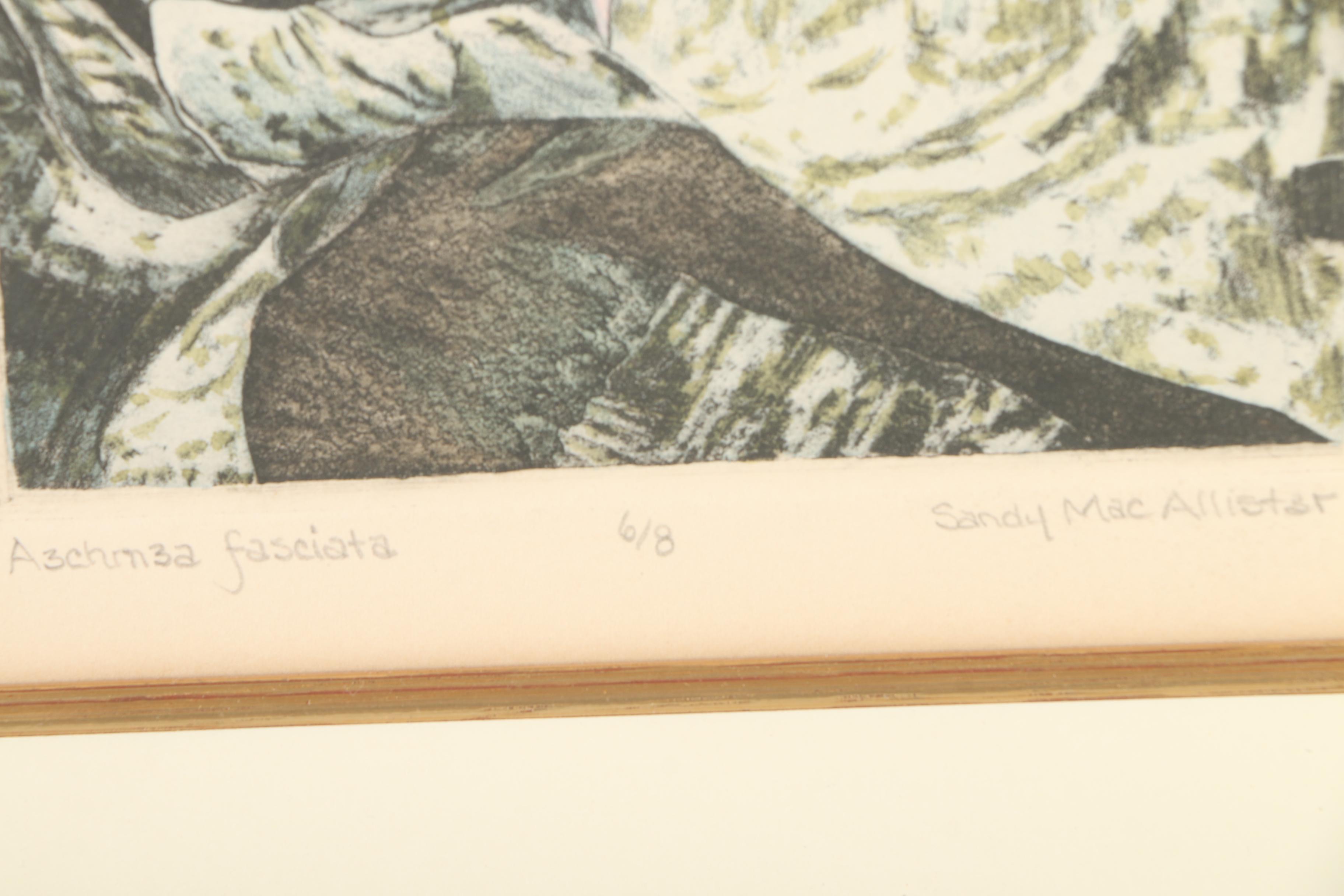 Sandy MacAllister Limited Edition Intaglio "Aechmea Fasciata"