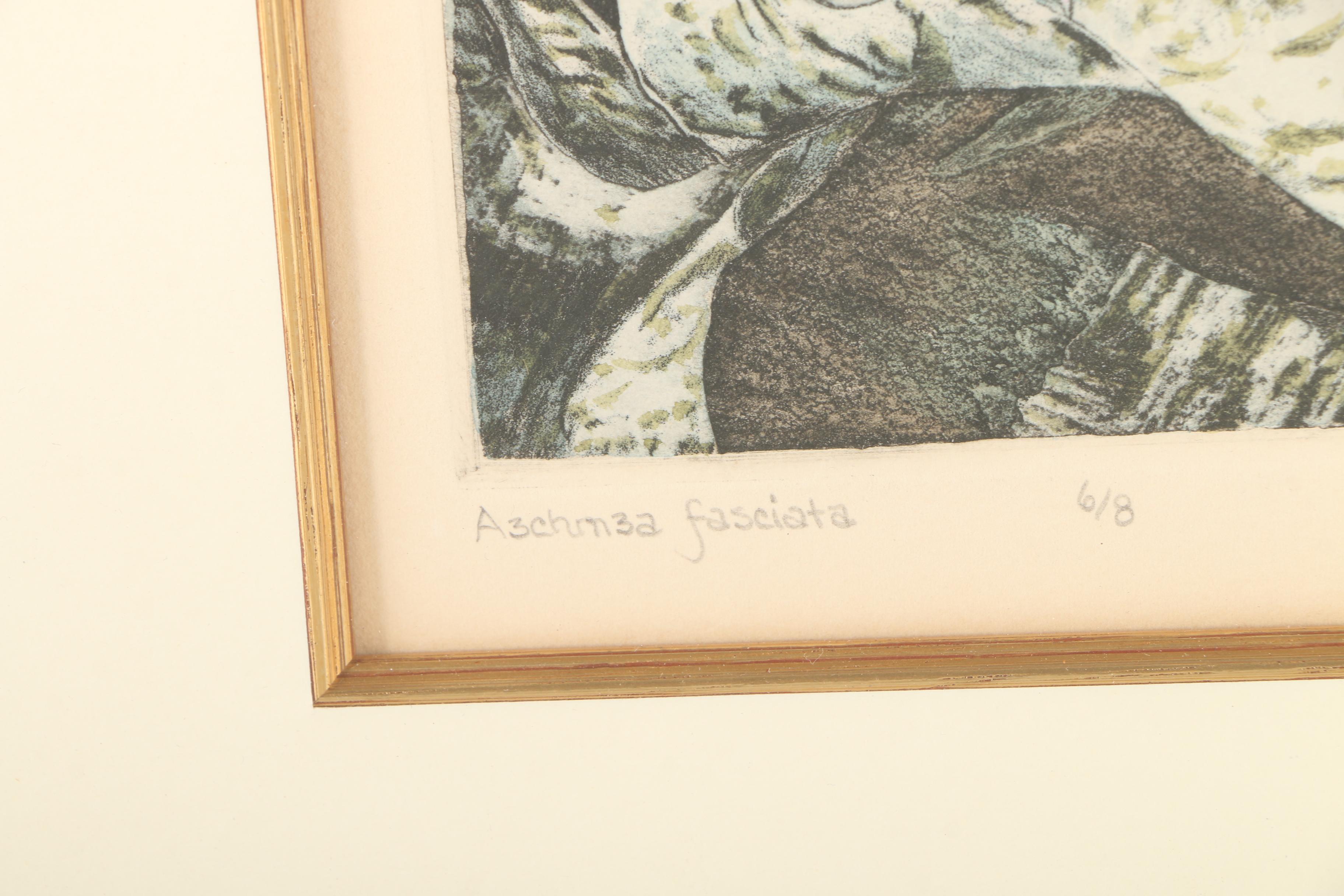 Sandy MacAllister Limited Edition Intaglio "Aechmea Fasciata"