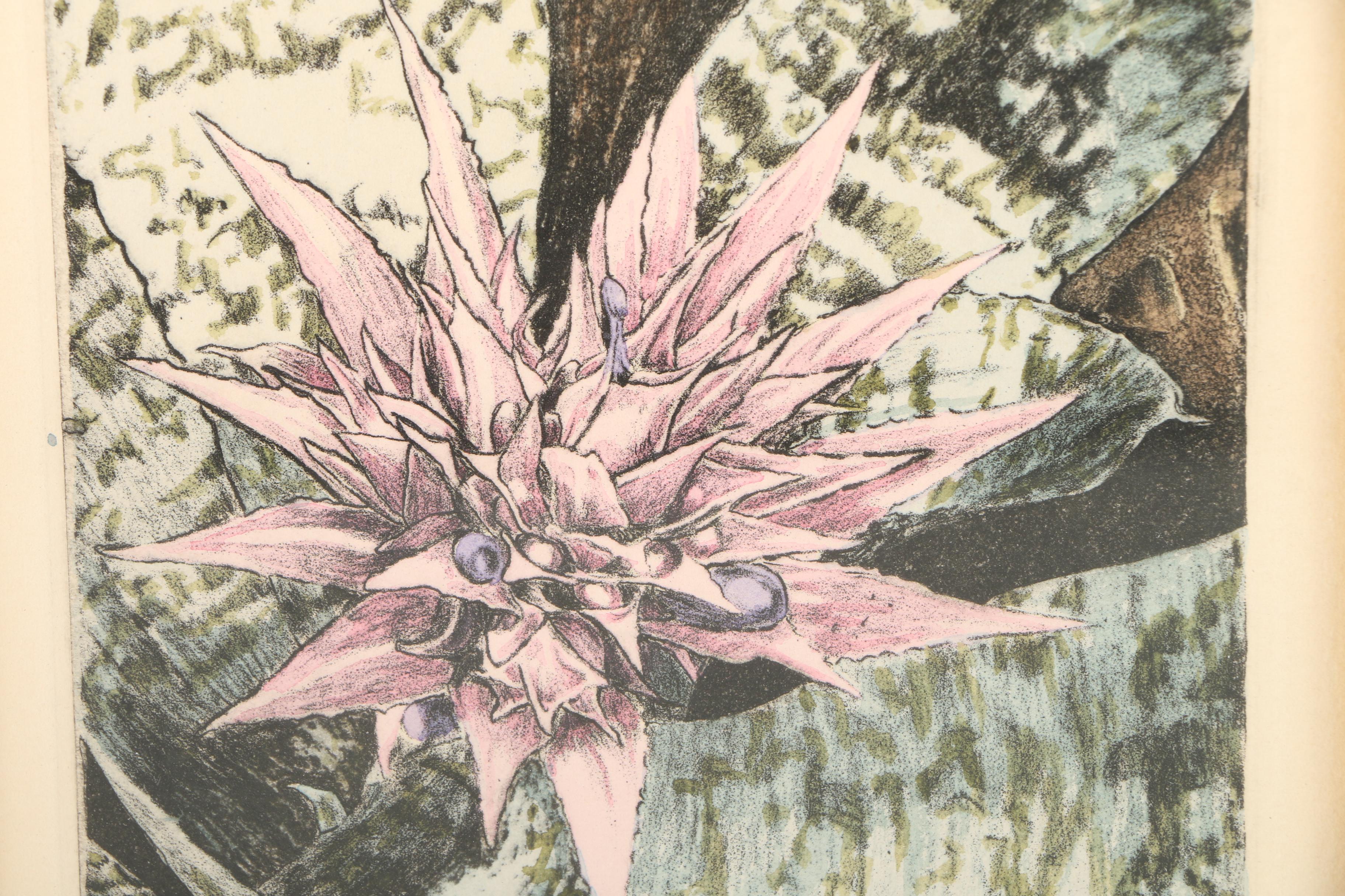 Sandy MacAllister Limited Edition Intaglio "Aechmea Fasciata"