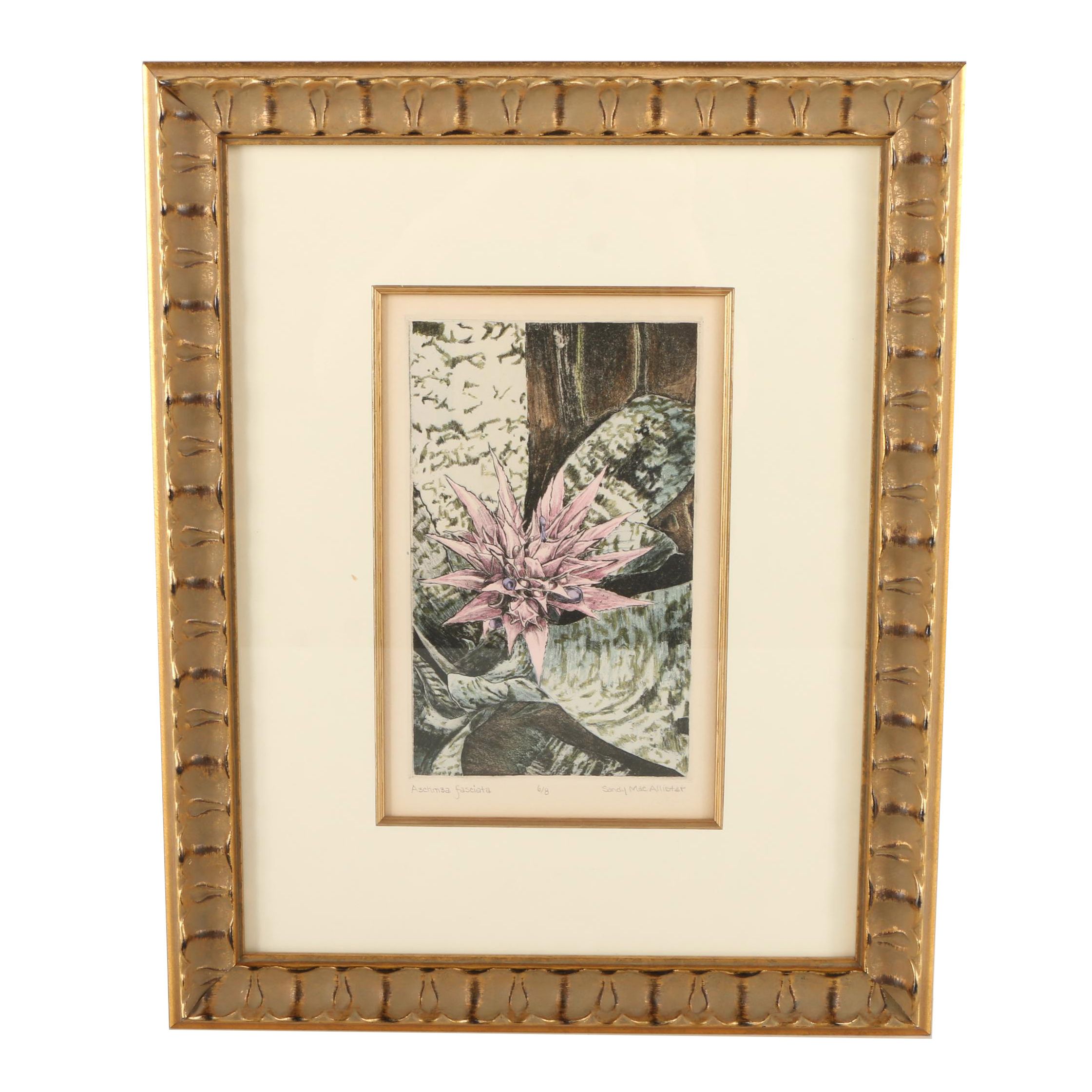 Sandy MacAllister Limited Edition Intaglio "Aechmea Fasciata"
