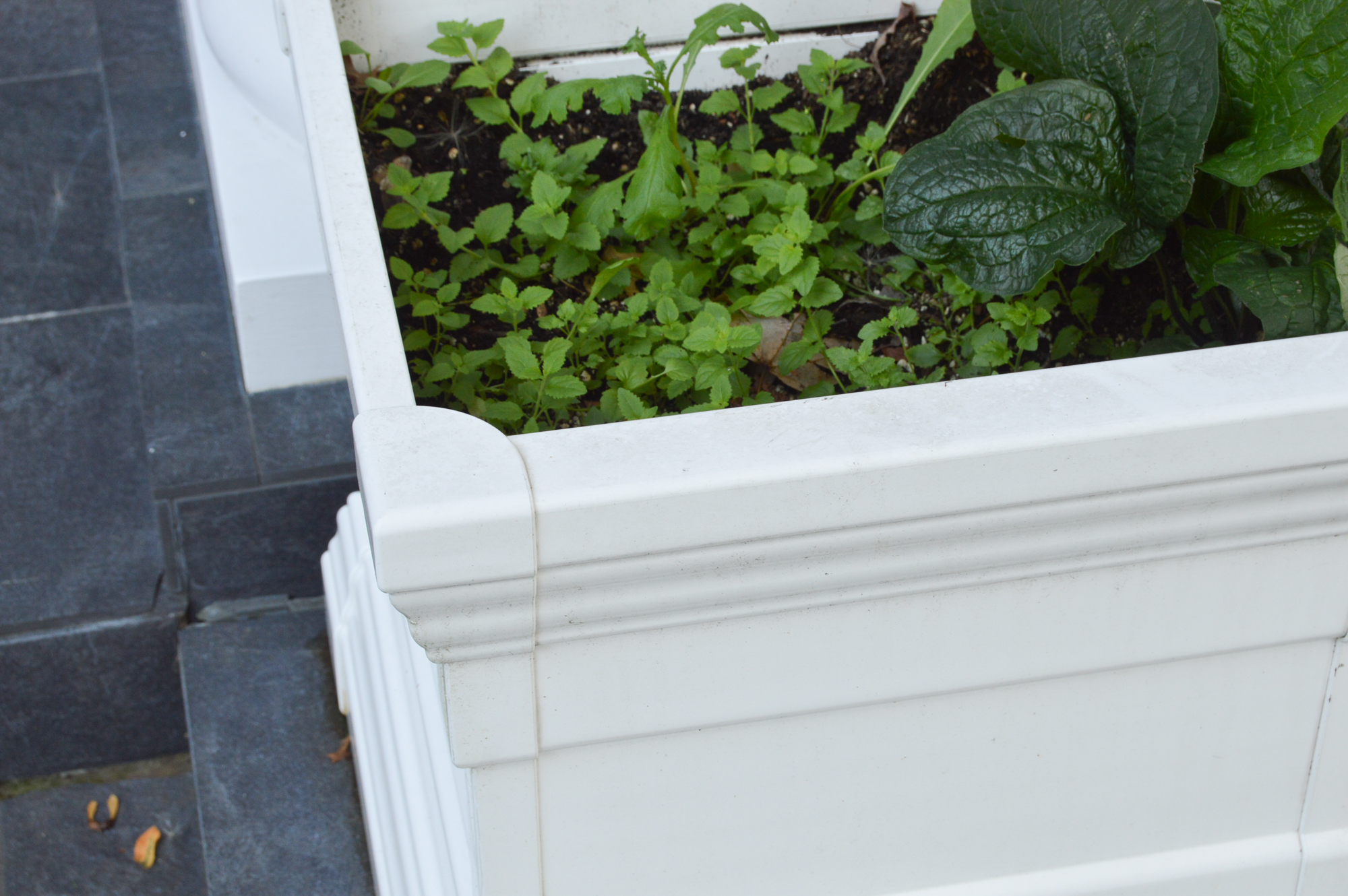 Large Outdoor Resin Square Planters