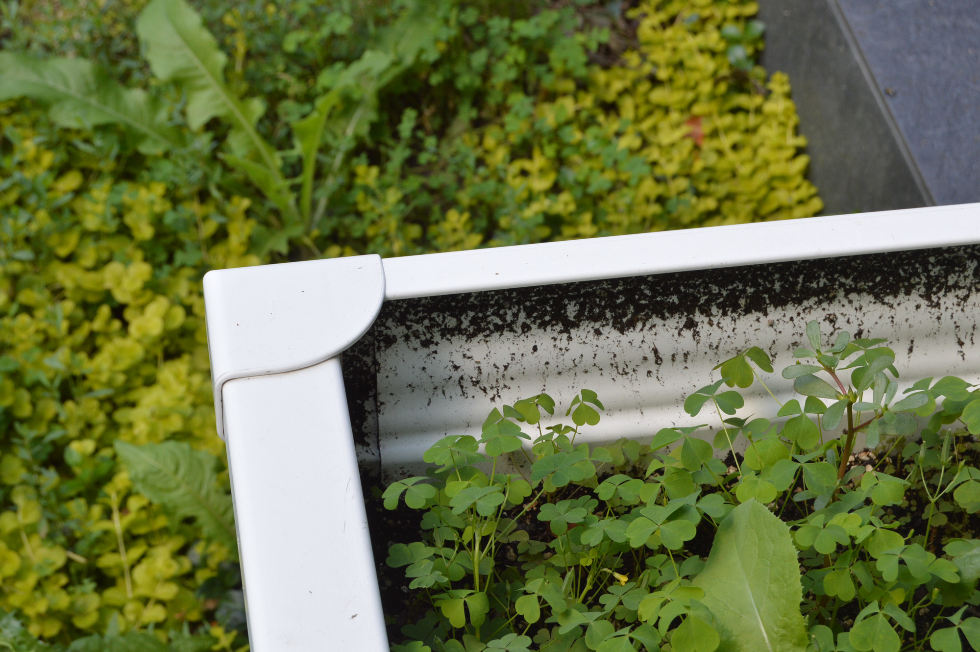 Large Outdoor Resin Square Planters