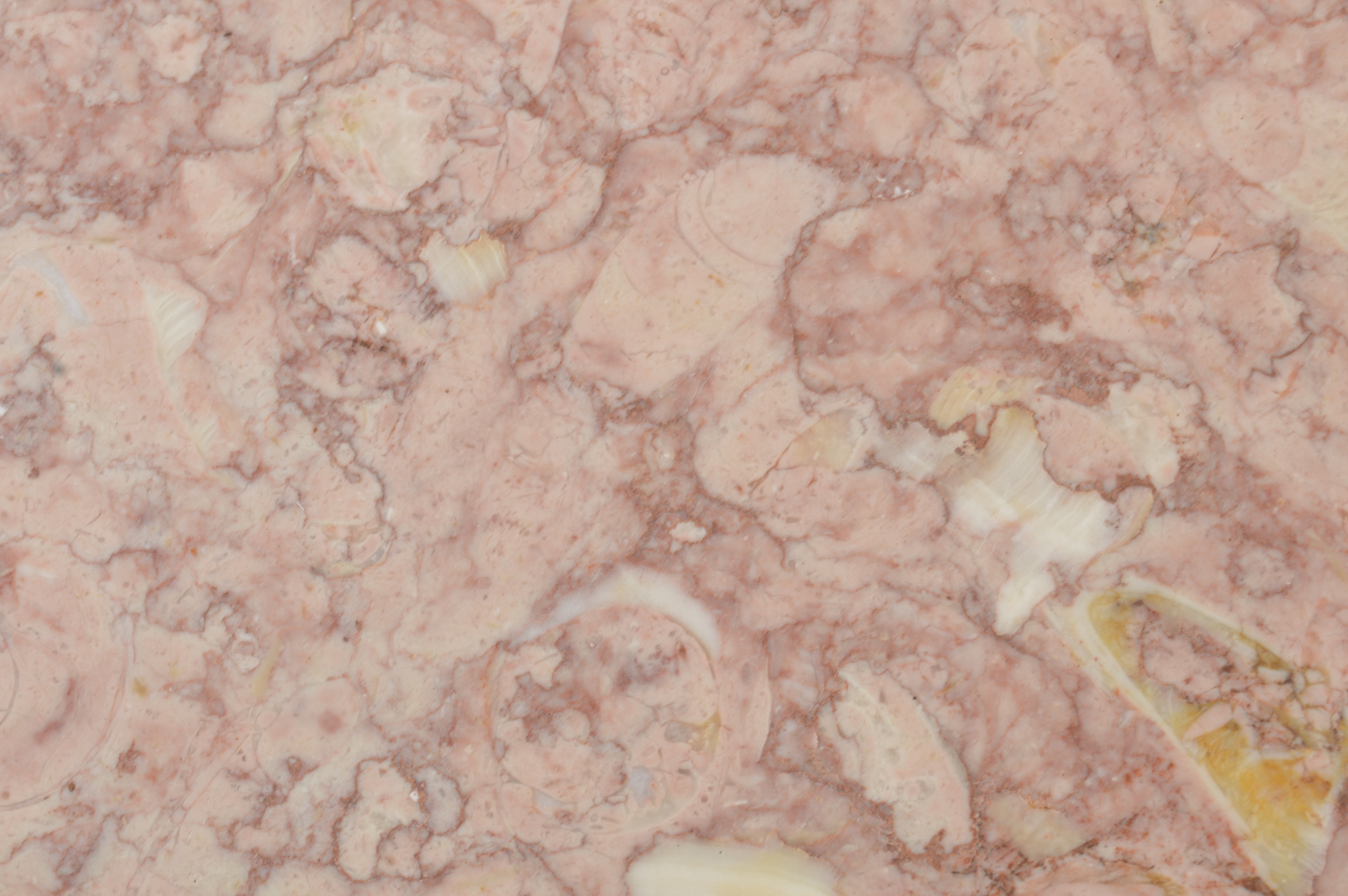 Pink Marble-Topped Drum Table