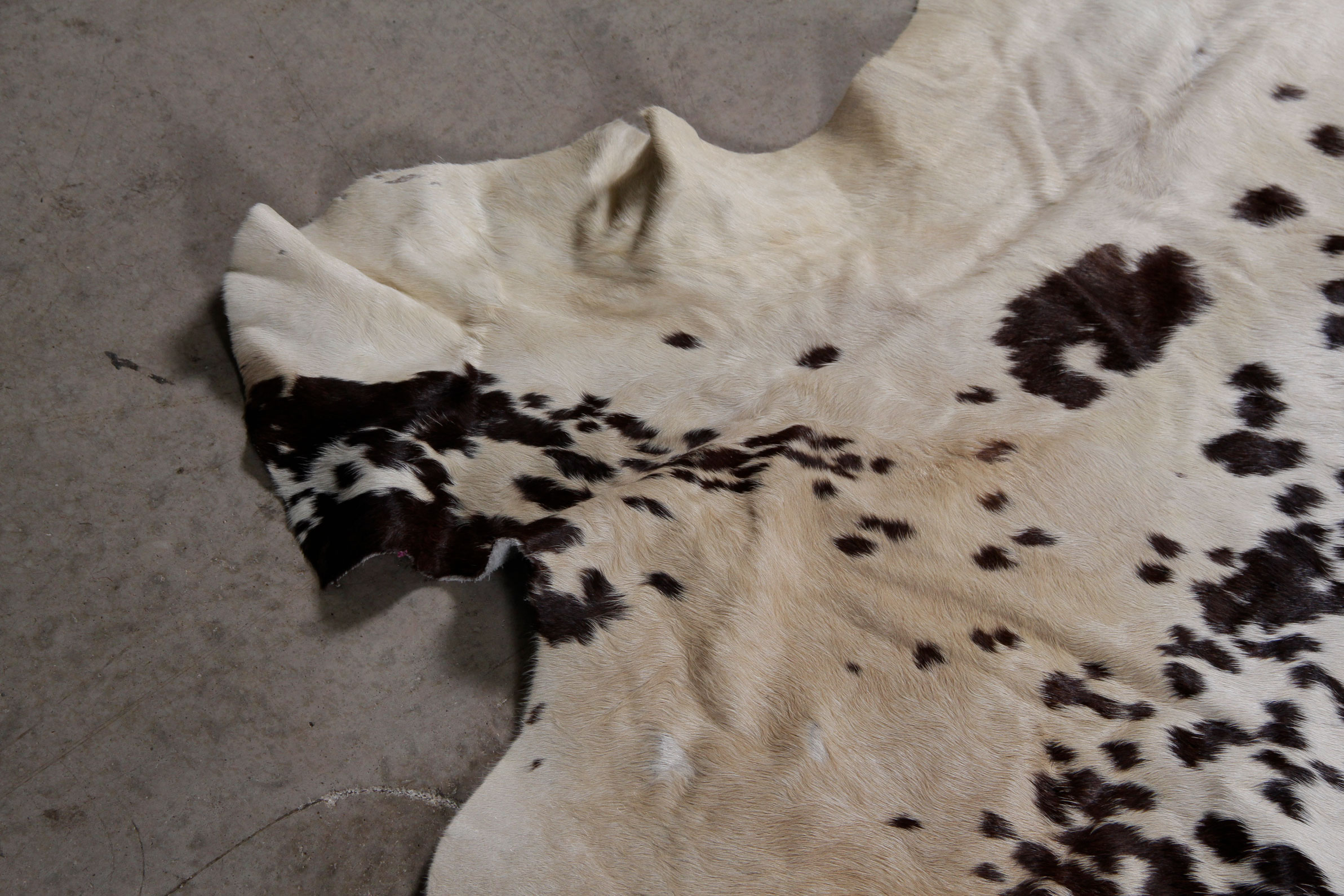 Cowhide Rug
