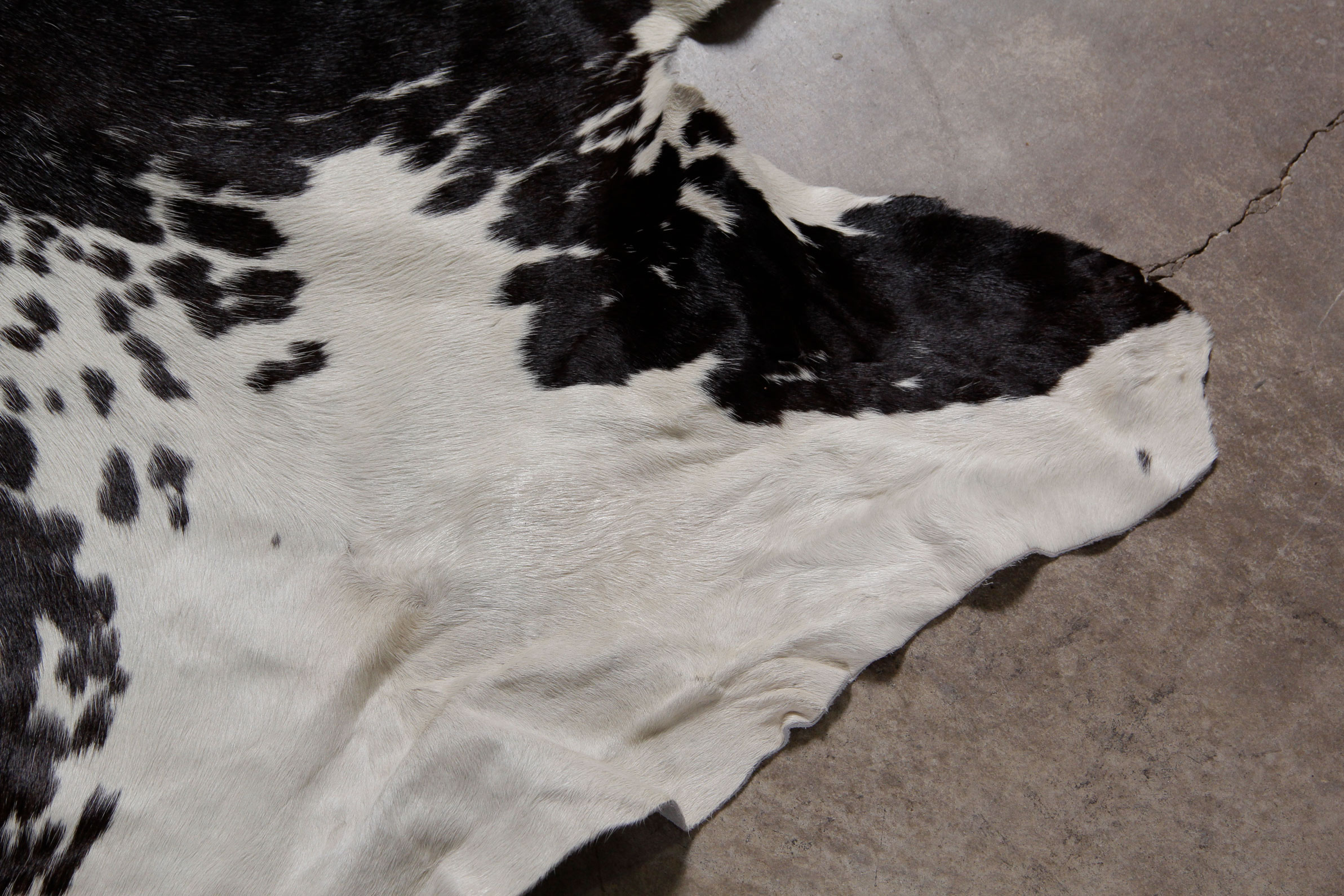 Cowhide Rug