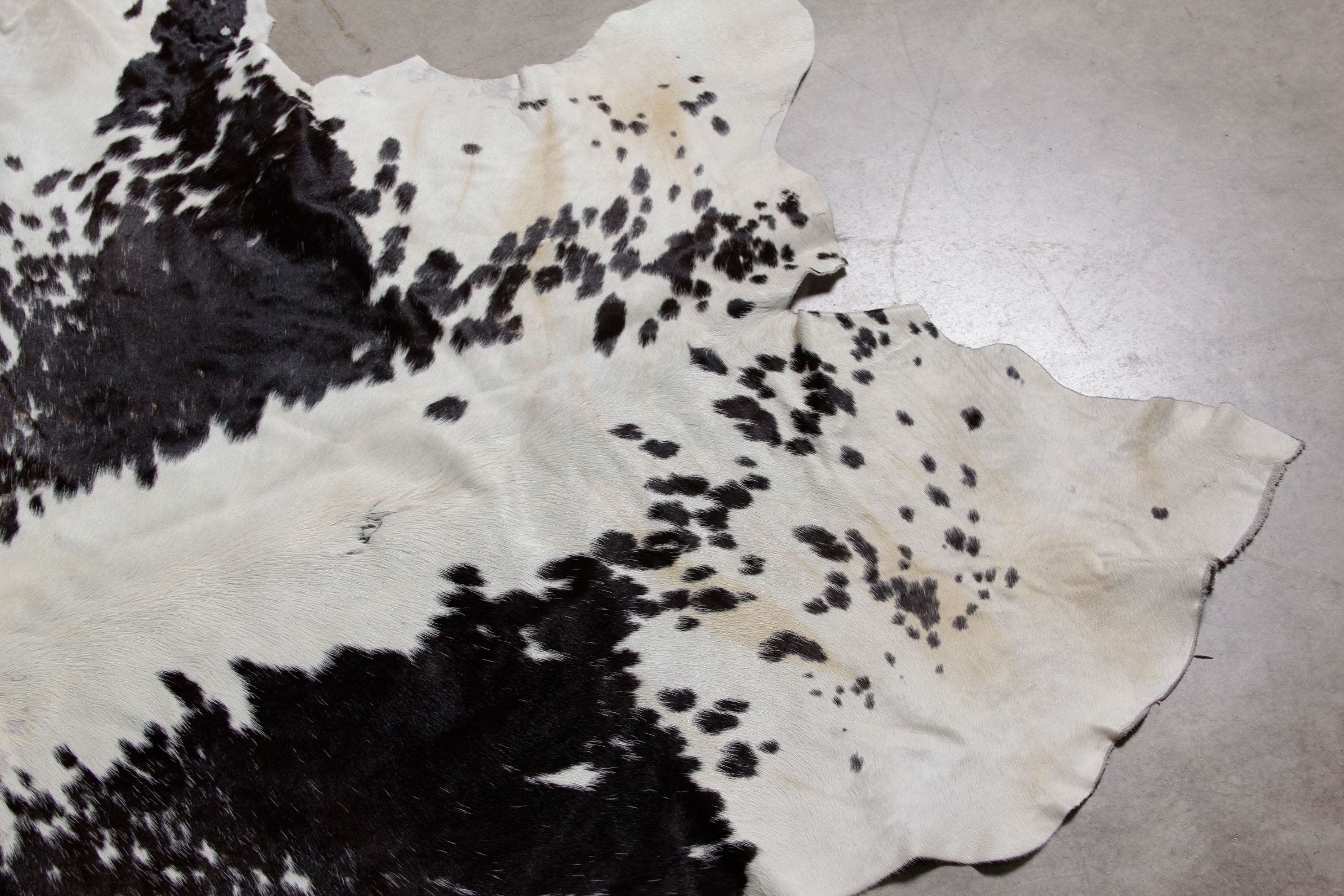Cowhide Rug