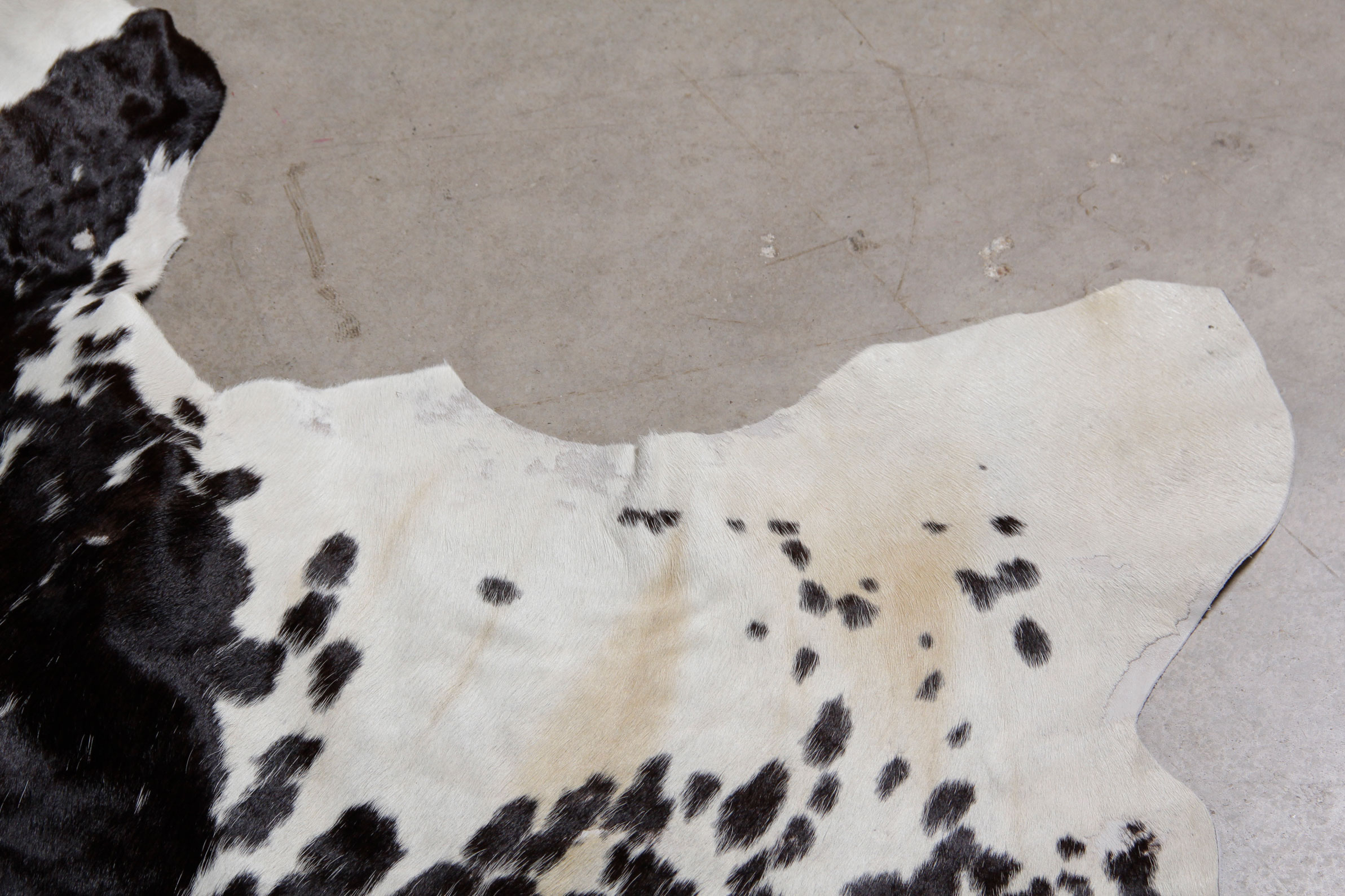 Cowhide Rug