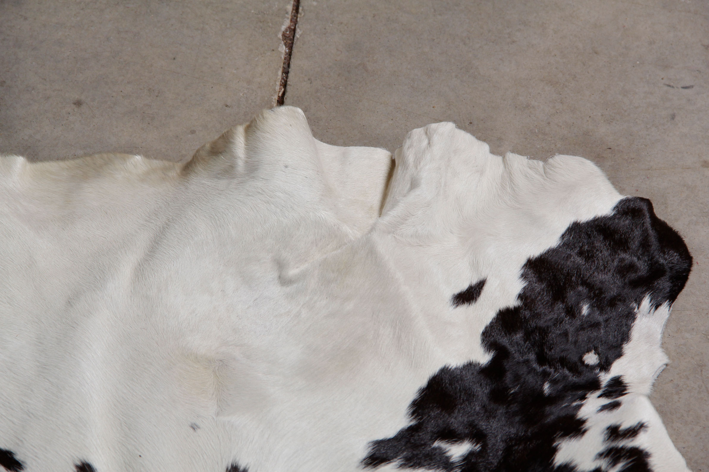 Cowhide Rug