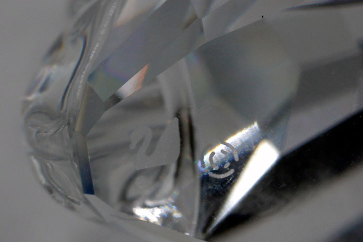 Swarovski Swan Figurines