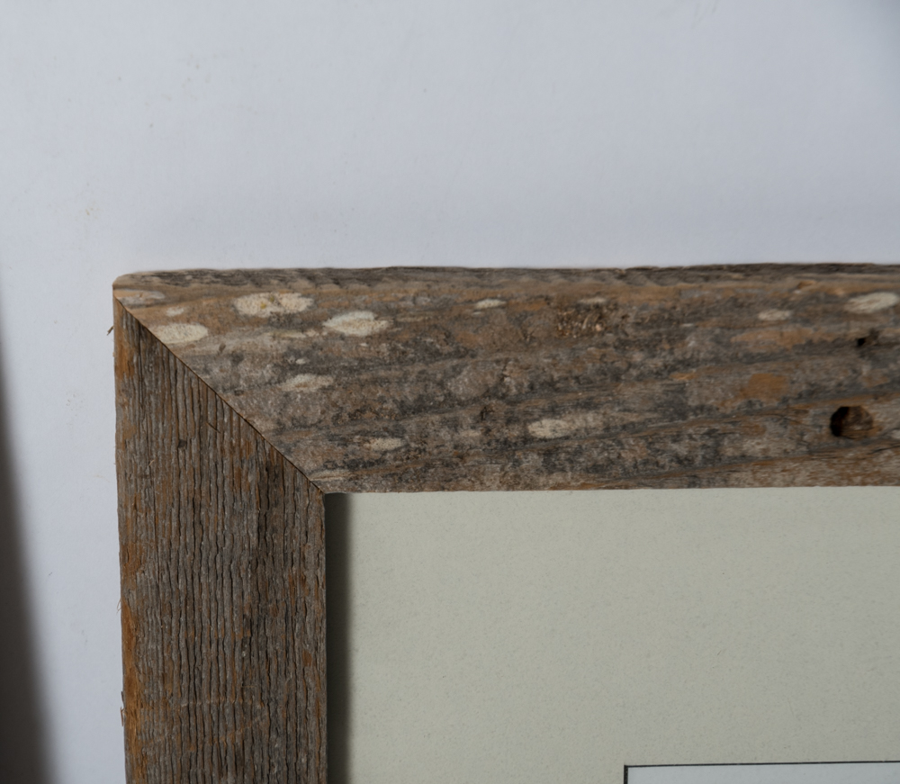 Signed Framed Texas Themed Photographs