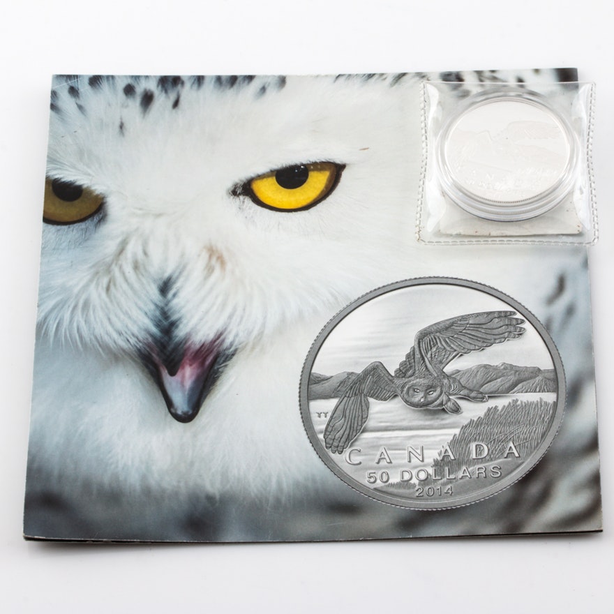 2014 Silver $50 Snowy Owl Proof Coin