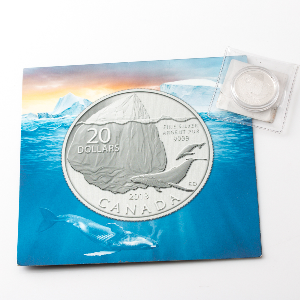 2013 Silver Iceberg and Whale $20 Coin From the Royal Canadian Mint