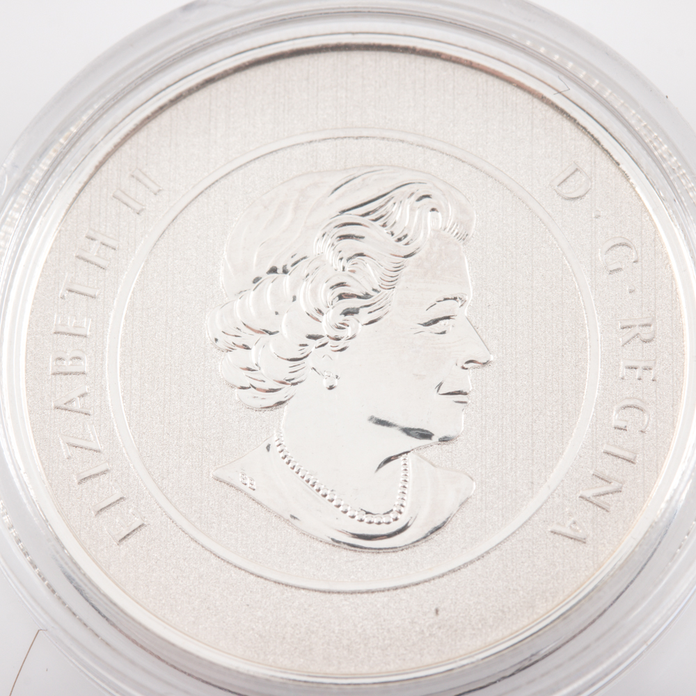 2013 Silver Iceberg and Whale $20 Coin From the Royal Canadian Mint