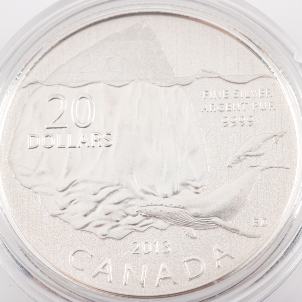 2013 Silver Iceberg and Whale $20 Coin From the Royal Canadian Mint