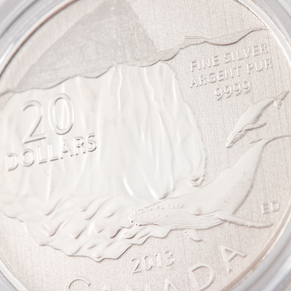 2013 Silver Iceberg and Whale $20 Coin From the Royal Canadian Mint