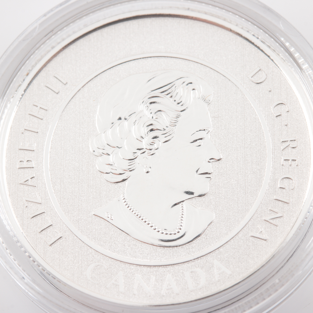 Pair of 2015 Silver Bugs Bunny $20 Coins From the Royal Canadian Mint