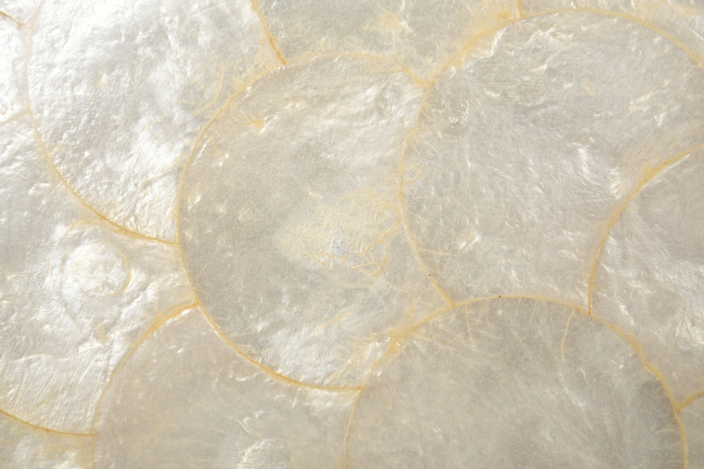 Collection of Mother of Pearl Tableware