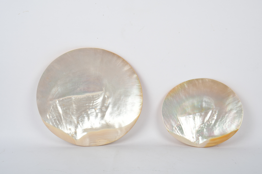 Collection of Mother of Pearl Tableware