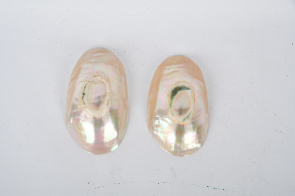 Collection of Mother of Pearl Tableware