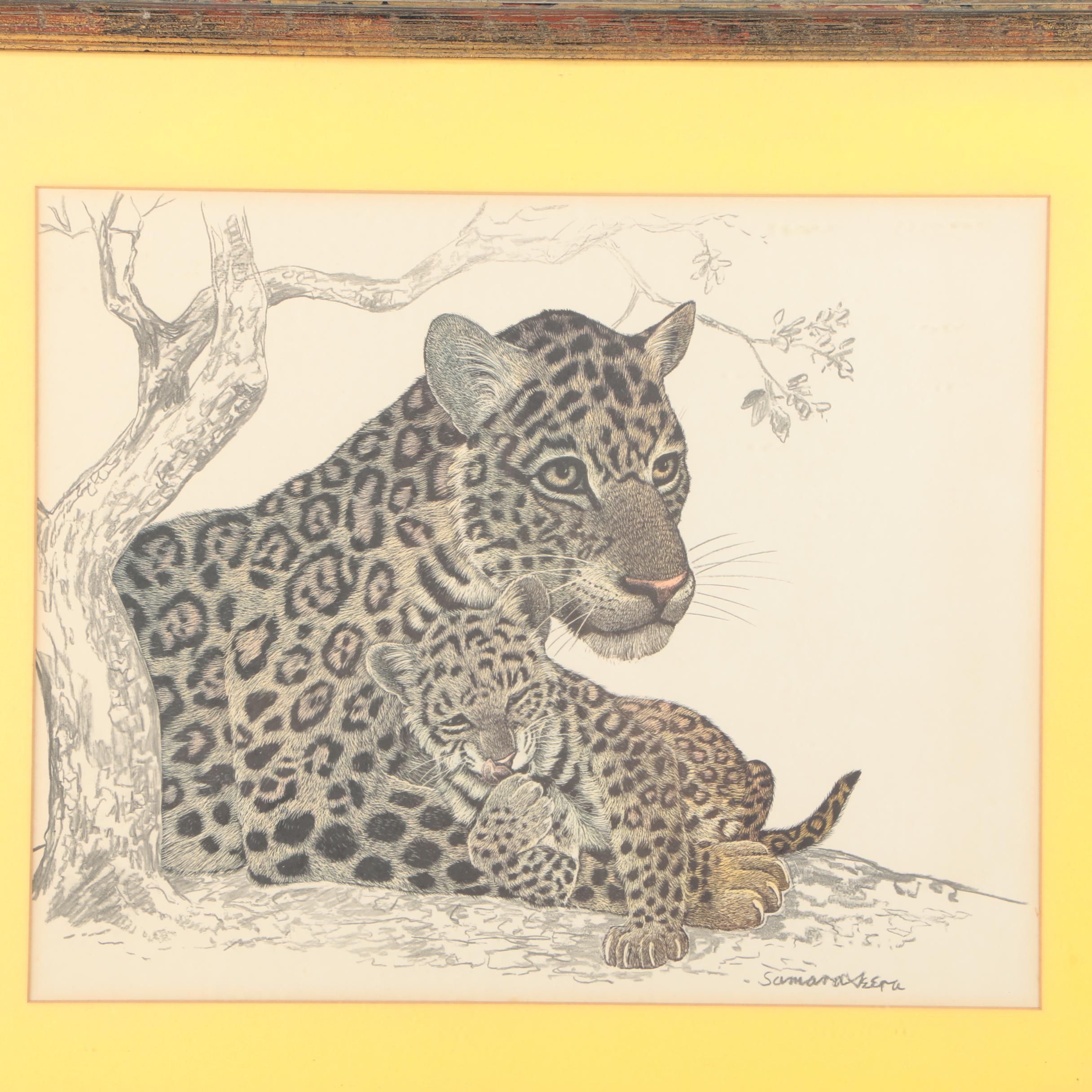 Offset Lithograph on Paper of Leopard and Cub After  Rama "Sam" Samaraweera