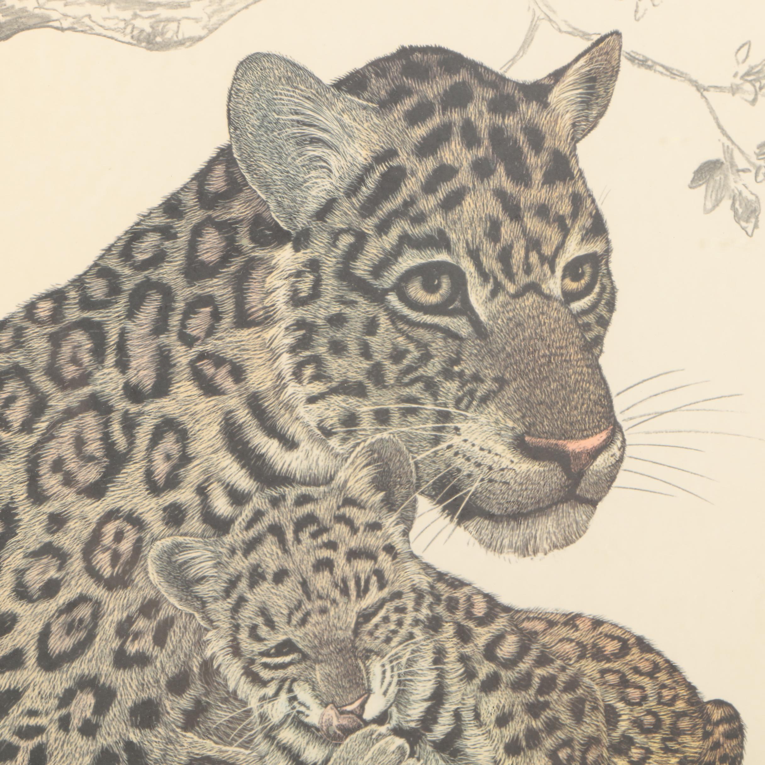 Offset Lithograph on Paper of Leopard and Cub After  Rama "Sam" Samaraweera