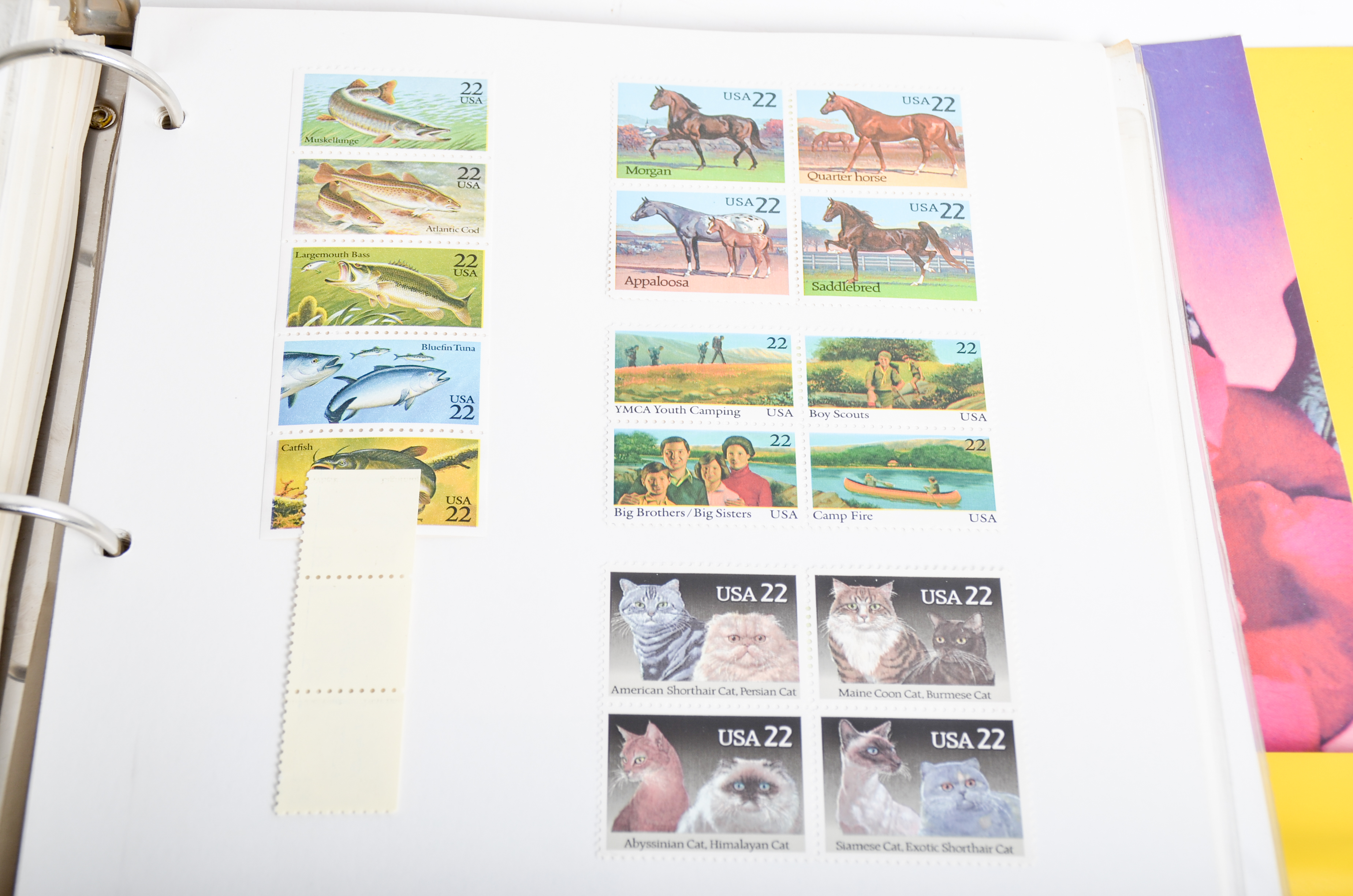 Vintage Stamp Collection