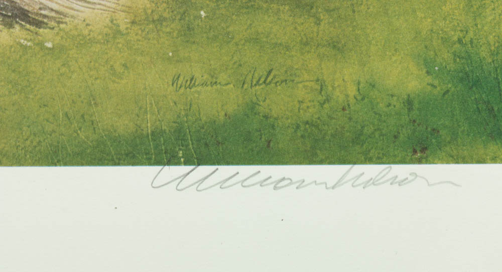 William Nelson Offset Lithographs on Paper "Cleft Rock" and More