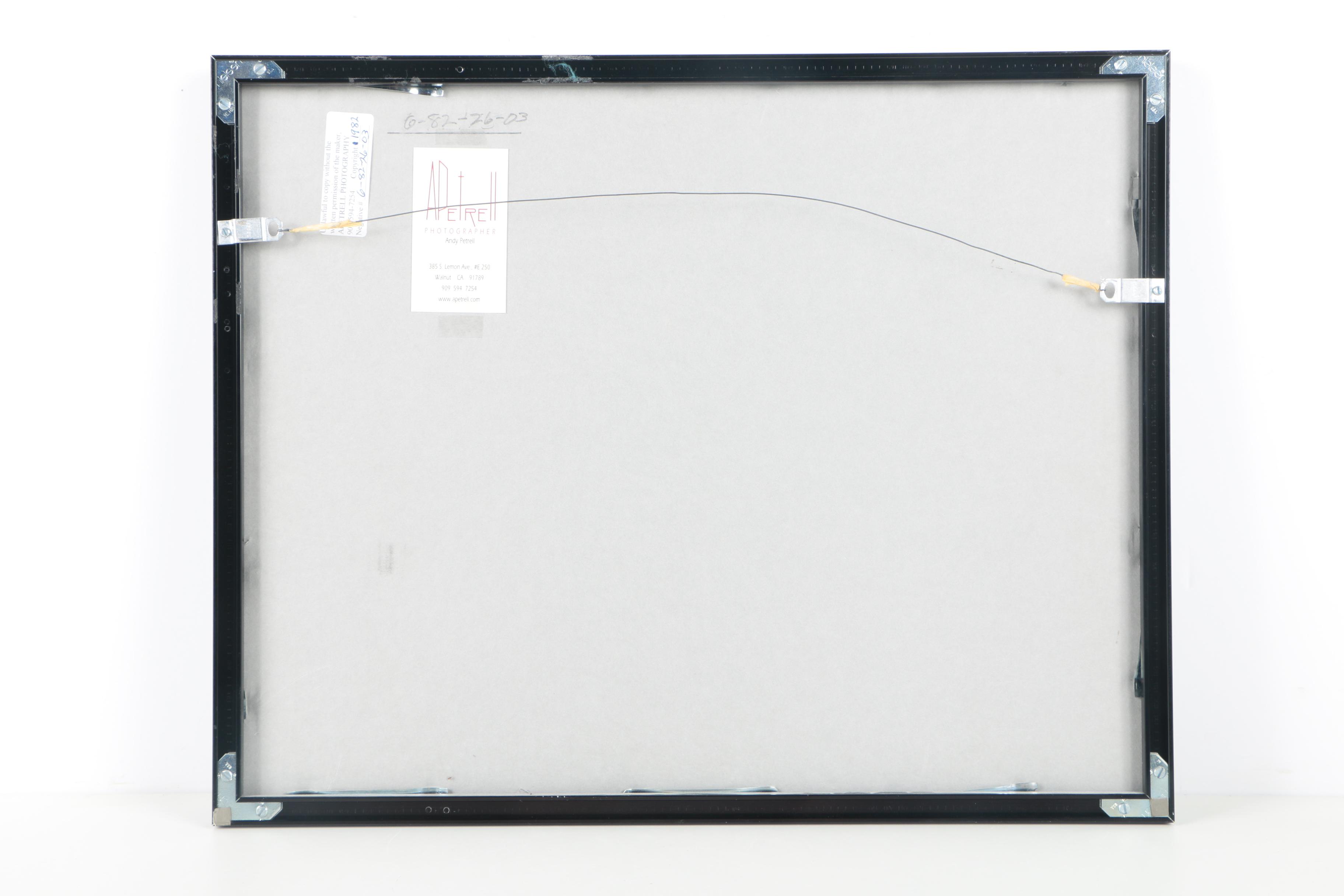 Andy Petrell Photograph "Sentinel Dome - Yosemite"