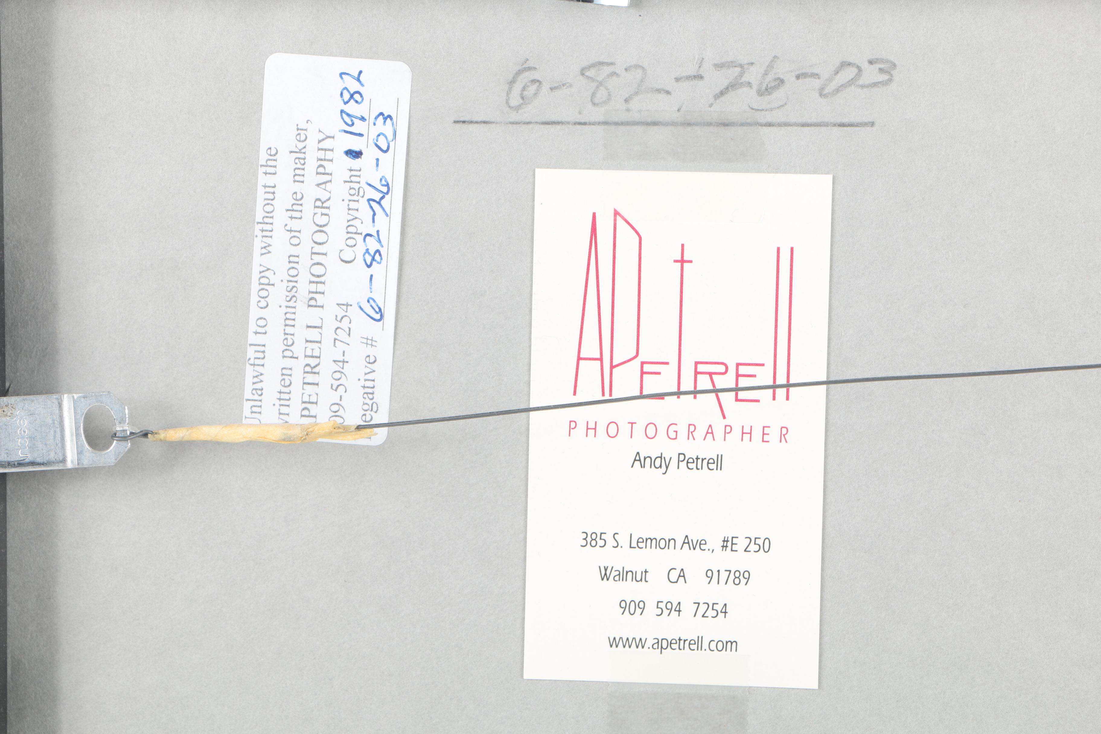 Andy Petrell Photograph "Sentinel Dome - Yosemite"