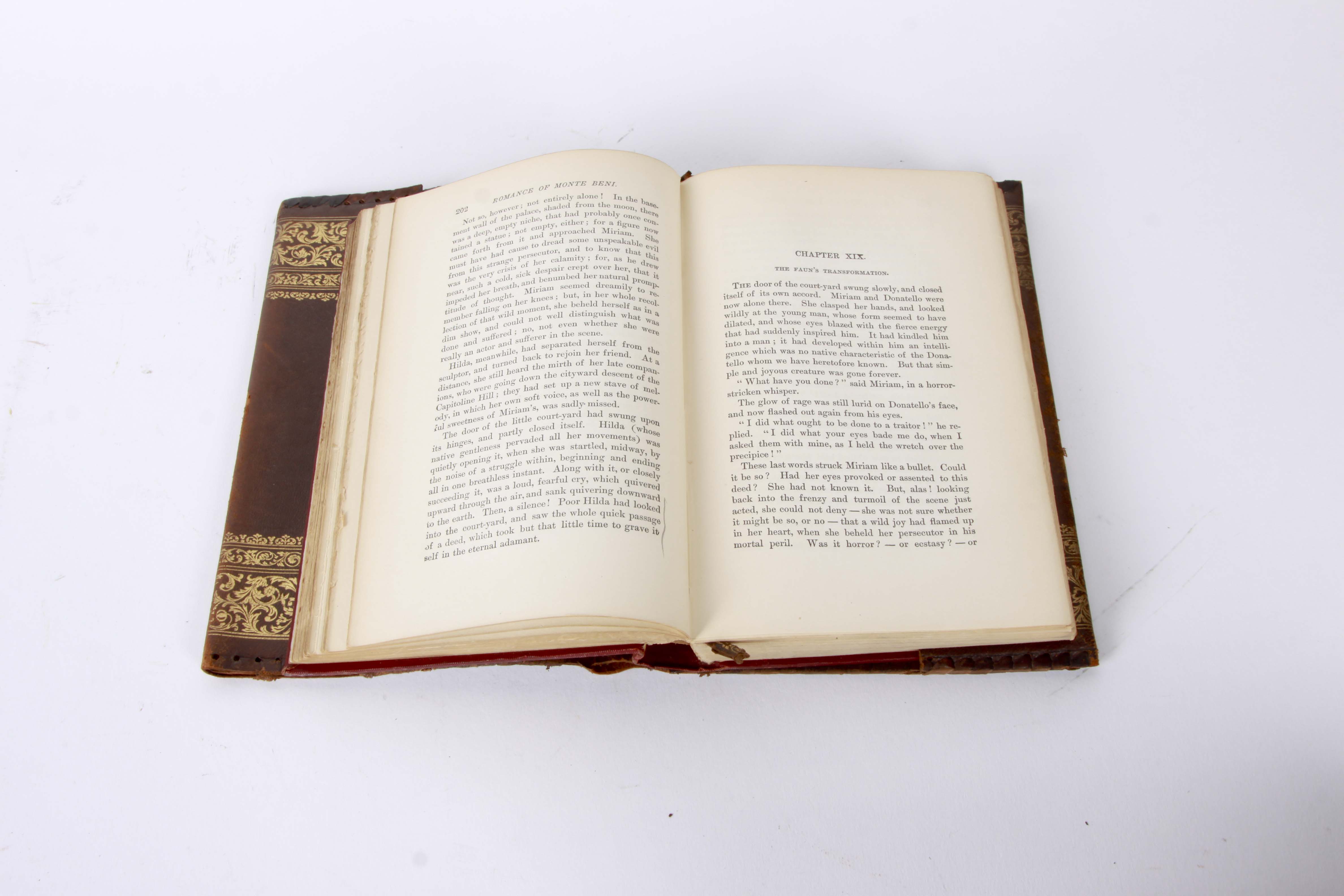 Antiquarian Copy of Nathanial Hawthorne's "The Marble Faun"