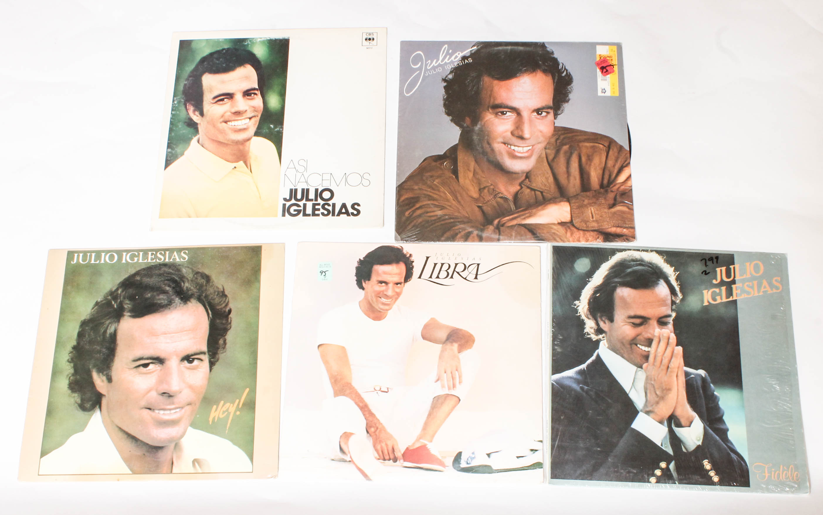 Collection of Julio Iglesias Vinyl Music Records