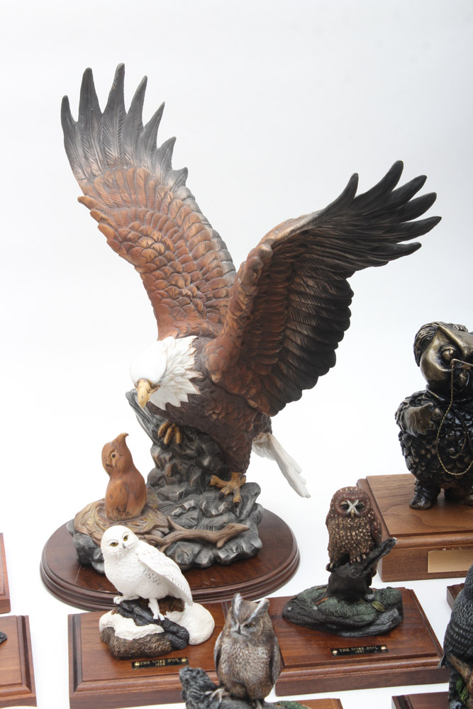 Owls and Eagles