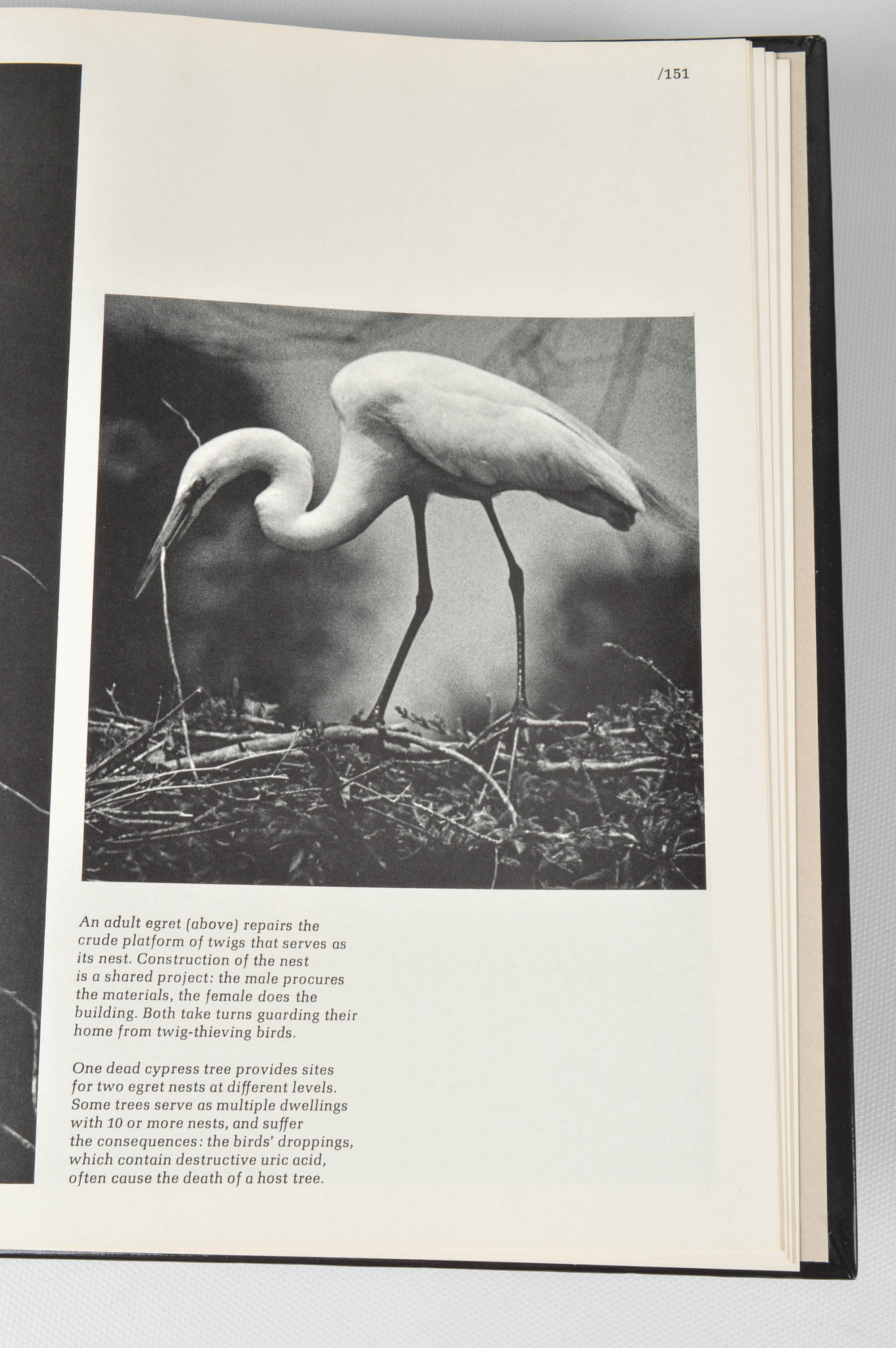 "The American Wilderness" By Time-Life Books