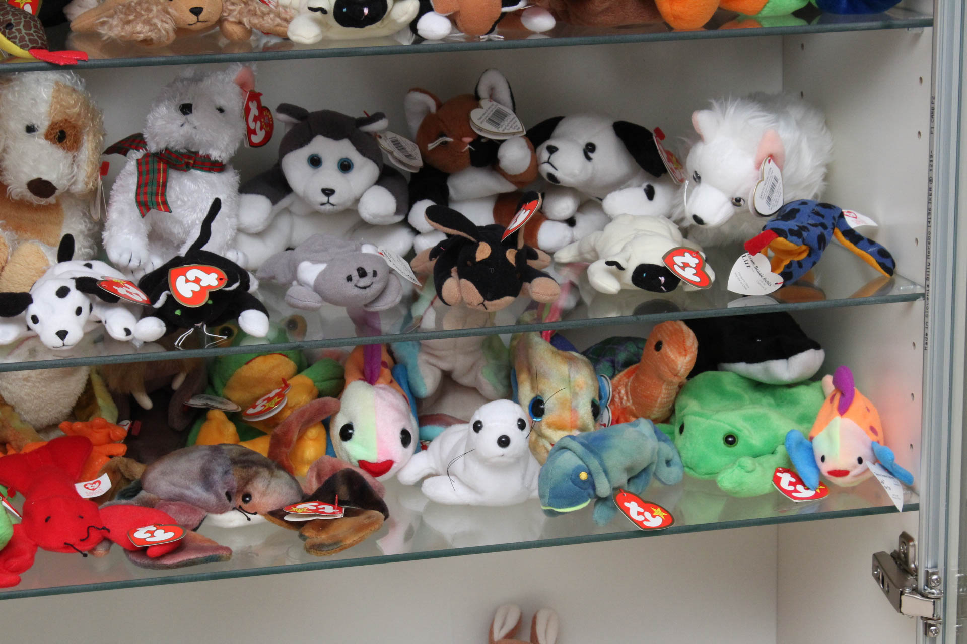 Ty Beanie Baby Collection