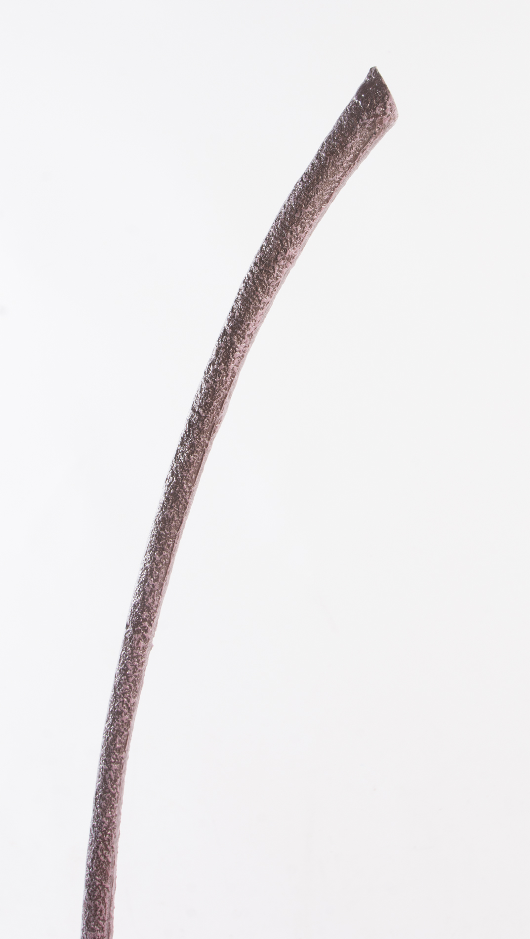 Pop-Art Style Oversized Cherry Decor by Hebi Arts