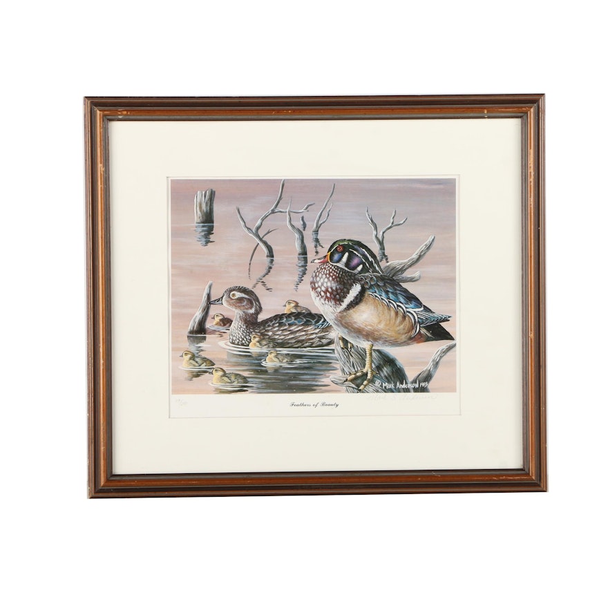 Mark S. Anderson Limited Edition Offset Lithograph "Feathers of Beauty"
