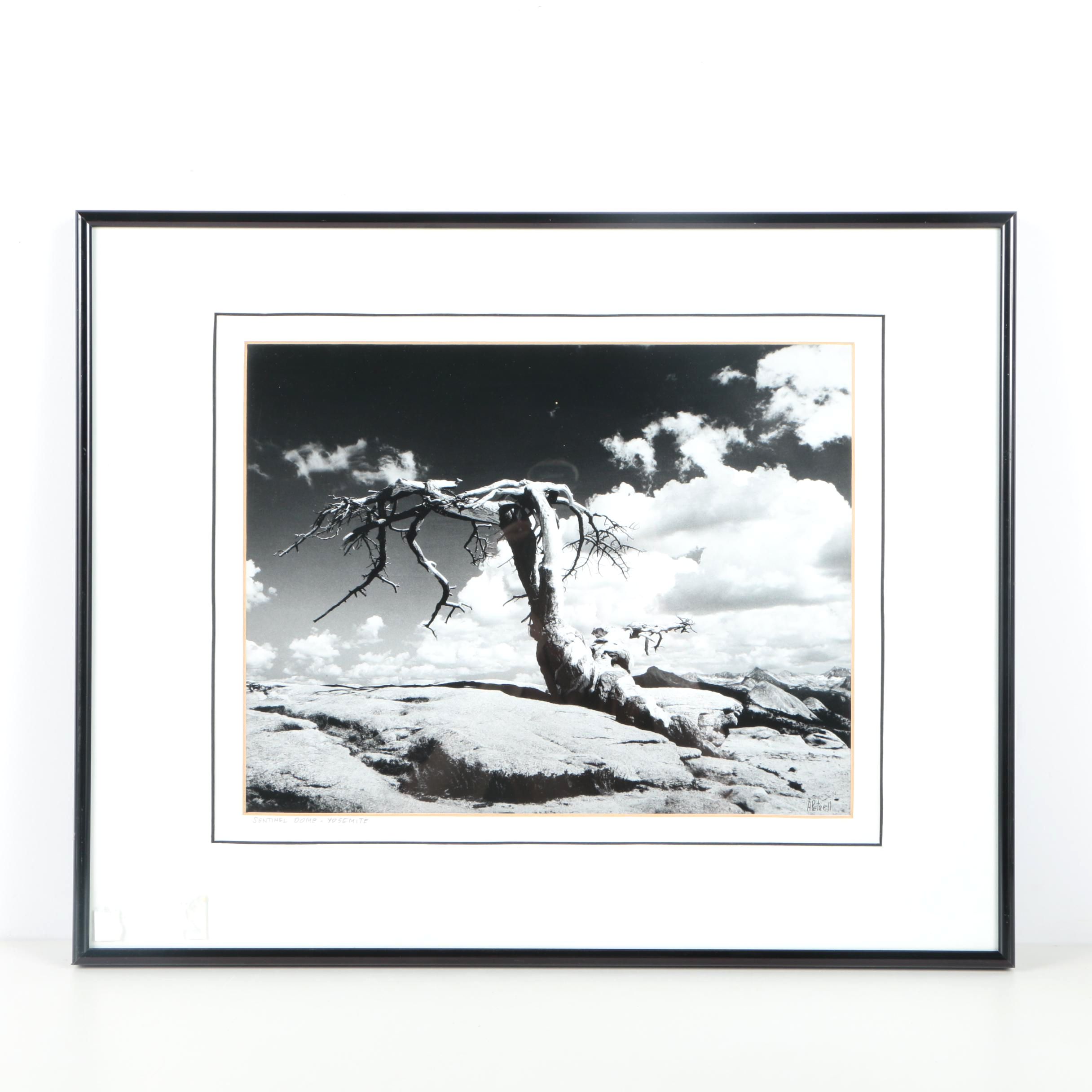 Andy Petrell Photograph "Sentinel Dome - Yosemite"