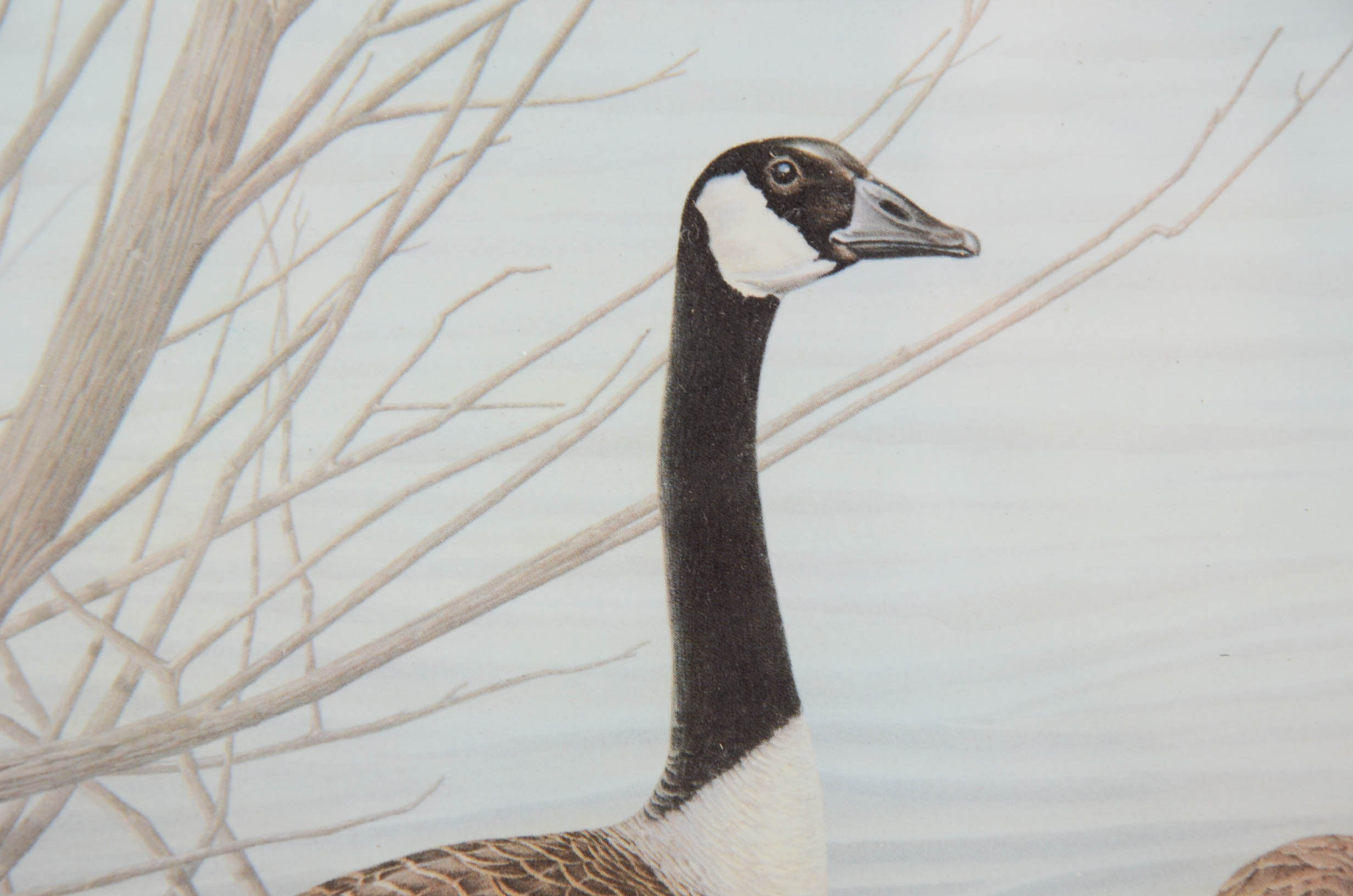 Robert Kusserow Signed Limited Edition Offset Lithograph and One Postage Stamp