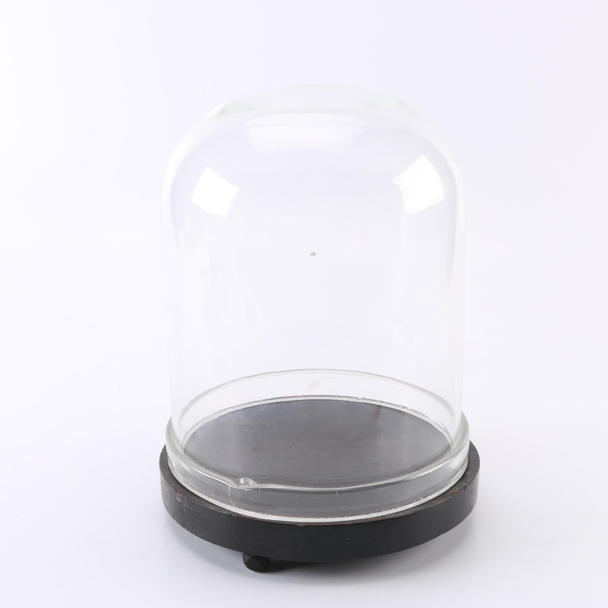 Large Glass and Wood Cloche