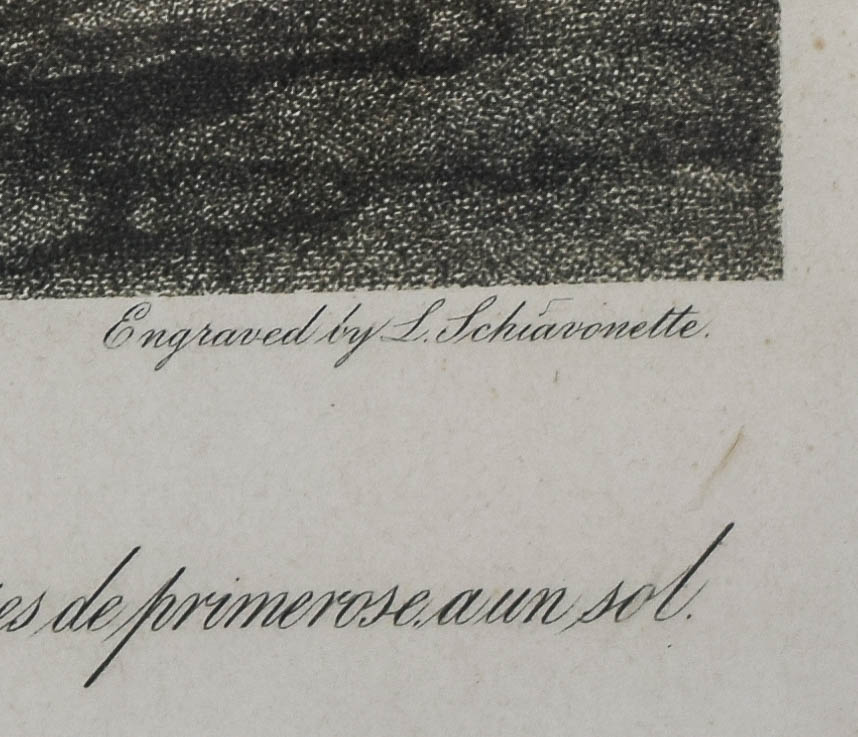 Antique "Cries of London: Plate I" Framed Hand-Painted Engraving